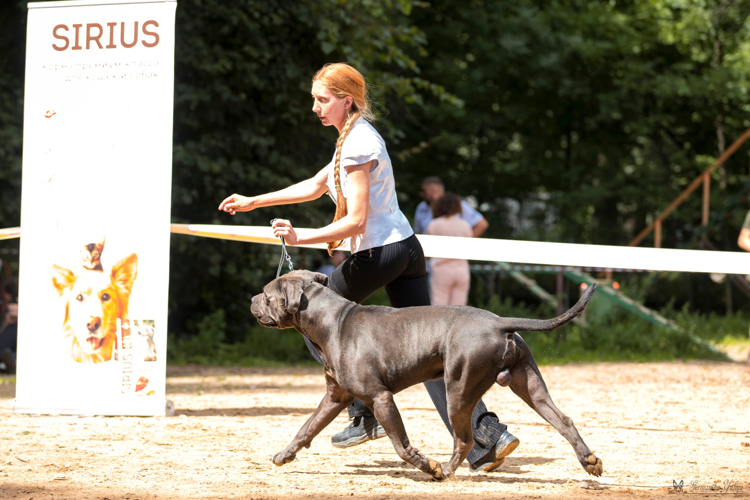Сфера-Ховрино 29-30.07.2023. Фотограф-анималист Юлия Германика