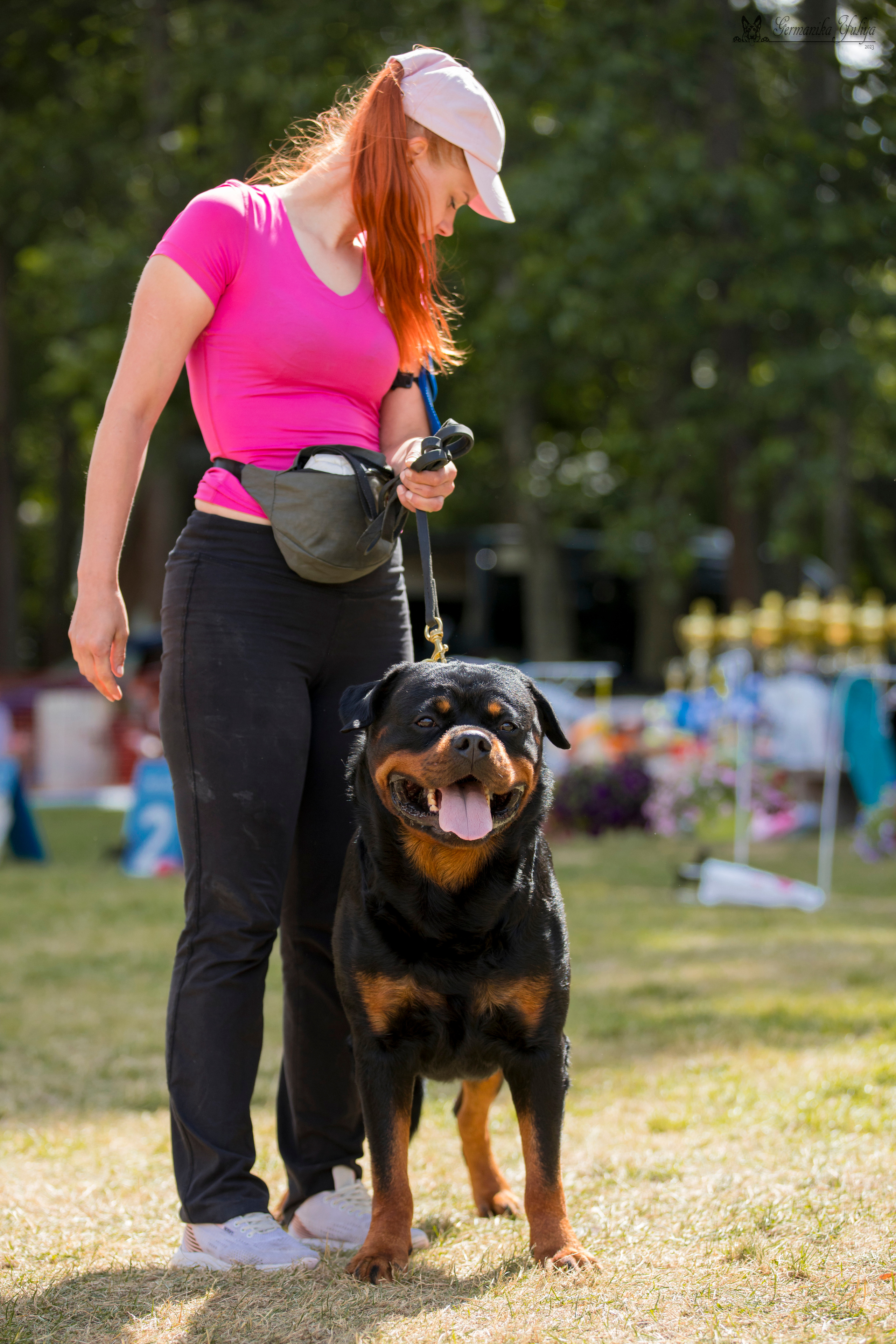 ПК и КЧК ротвейлеров Питер 22-23.07.2023. Фотограф-анималист Юлия Германика
