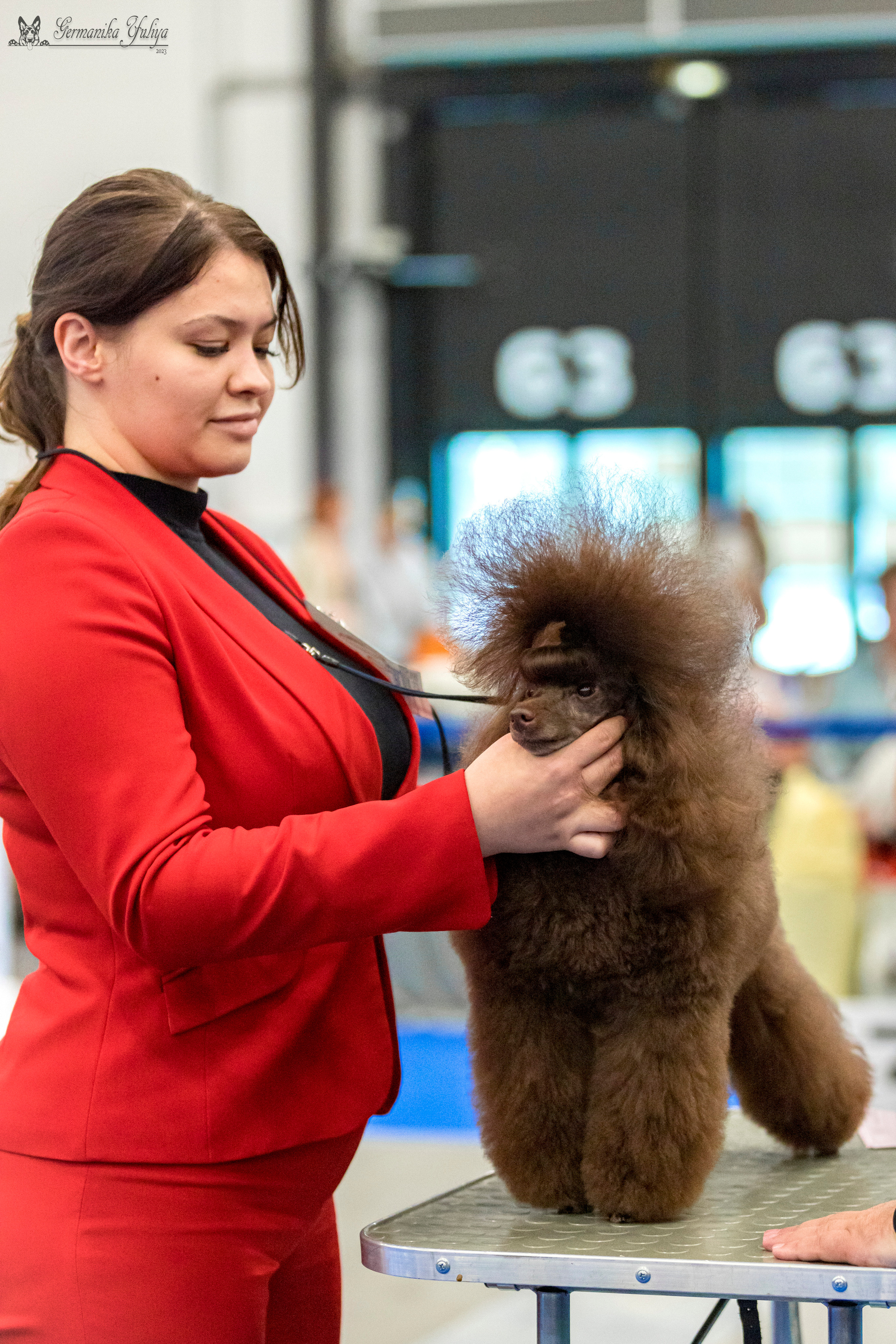 Питер 2-3.09.2023. Фотограф-анималист Юлия Германика