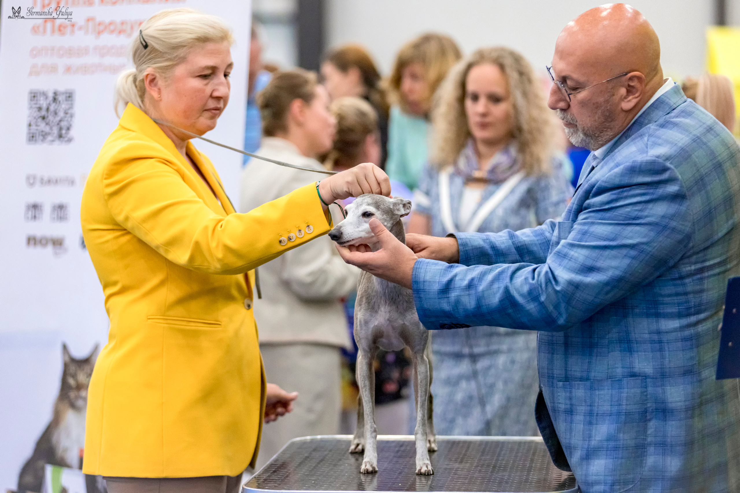 Питер 2-3.09.2023. Фотограф-анималист Юлия Германика