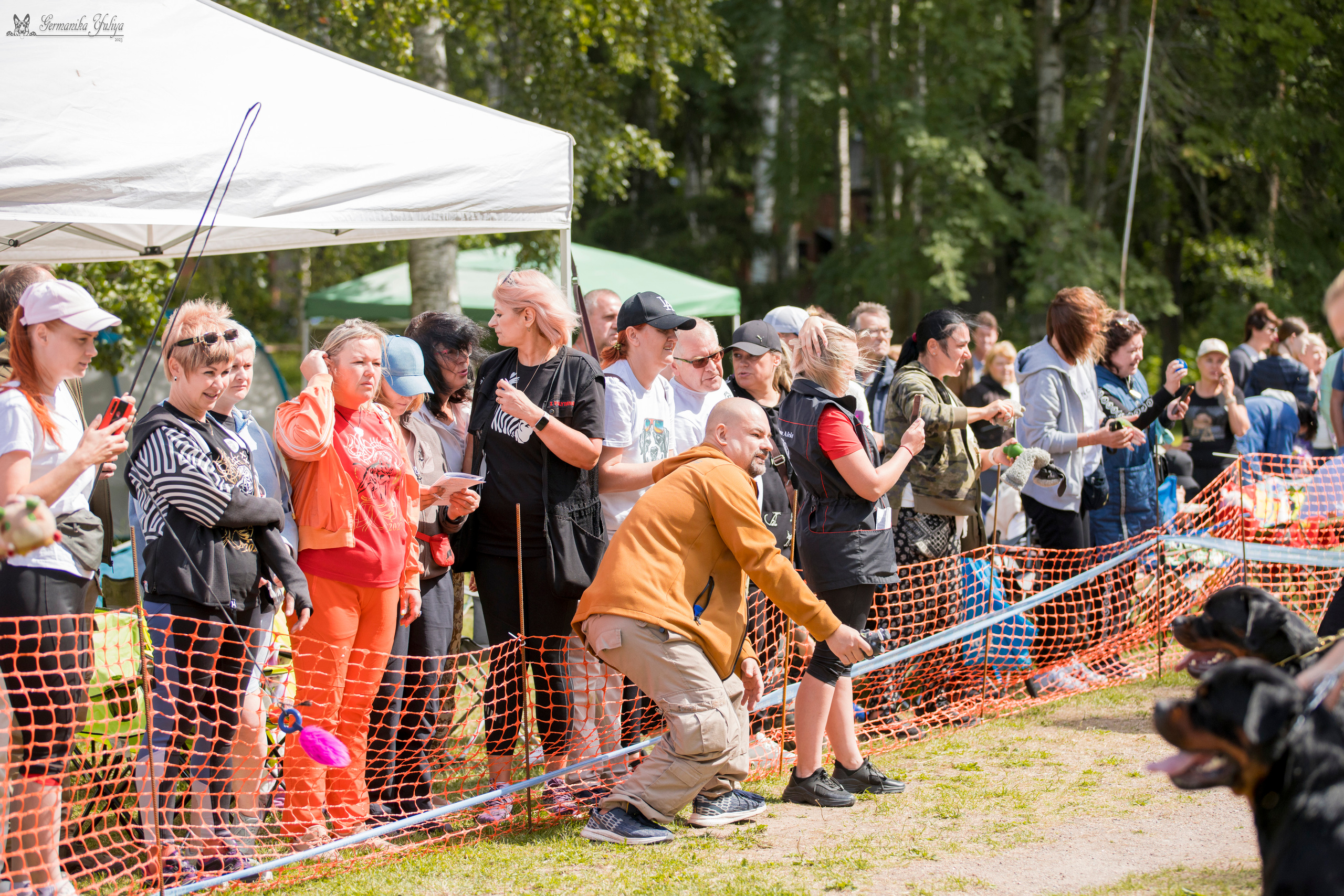 ПК и КЧК ротвейлеров Питер 22-23.07.2023. Фотограф-анималист Юлия Германика