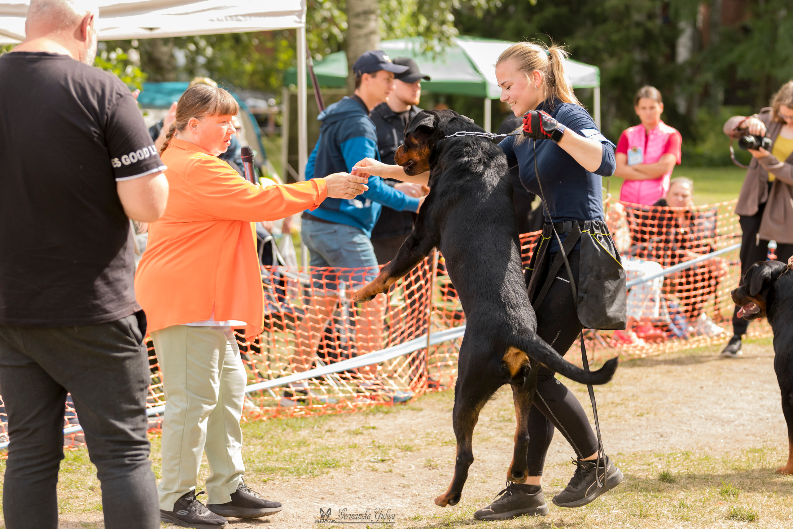 ПК и КЧК ротвейлеров Питер 22-23.07.2023. Фотограф-анималист Юлия Германика