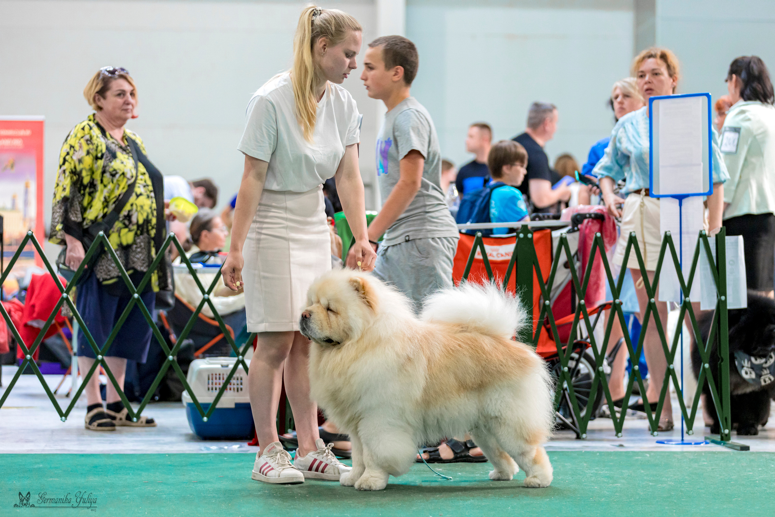 Крокус,Псков 5-6.08.2023. Фотограф-анималист Юлия Германика