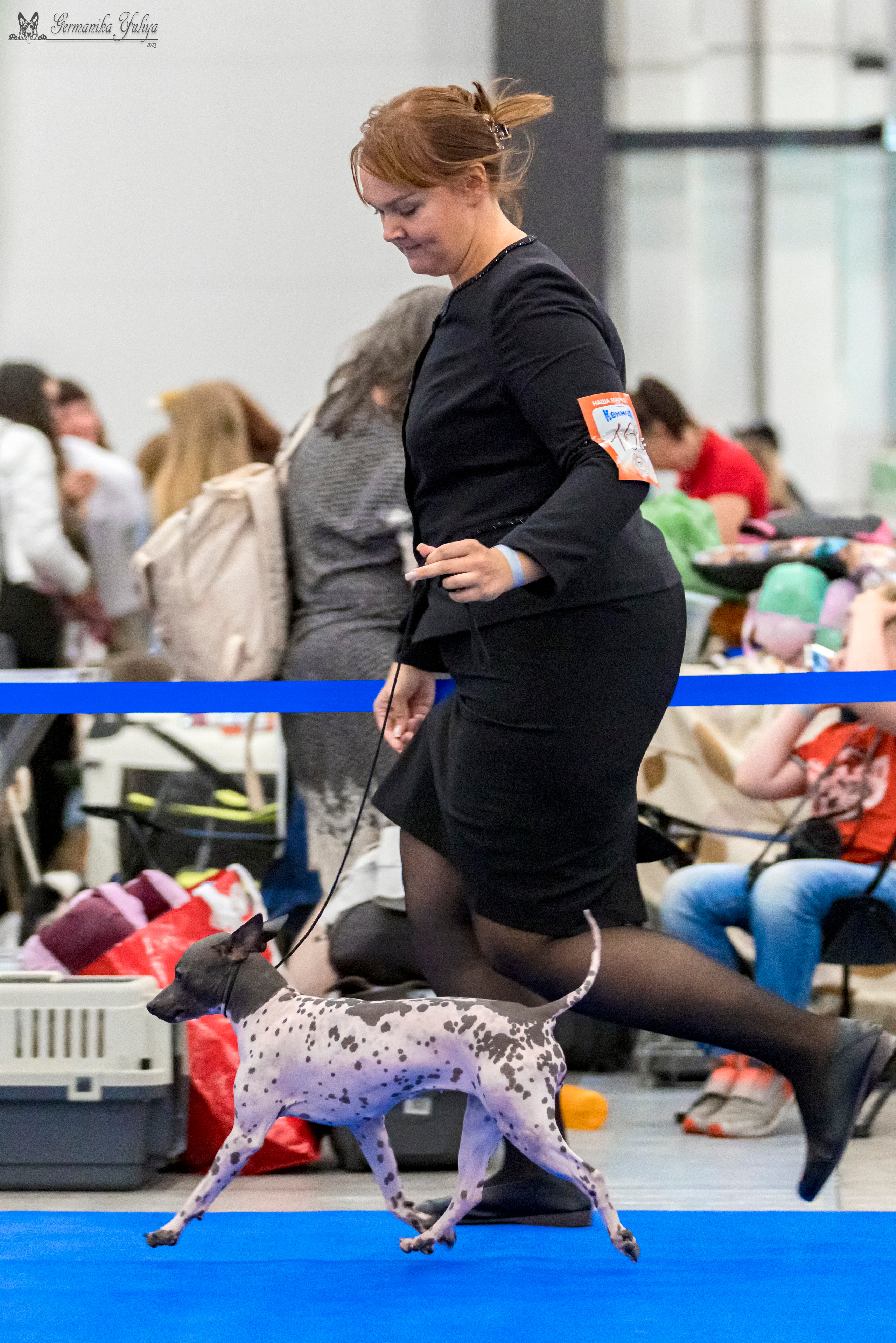 Питер 2-3.09.2023. Фотограф-анималист Юлия Германика