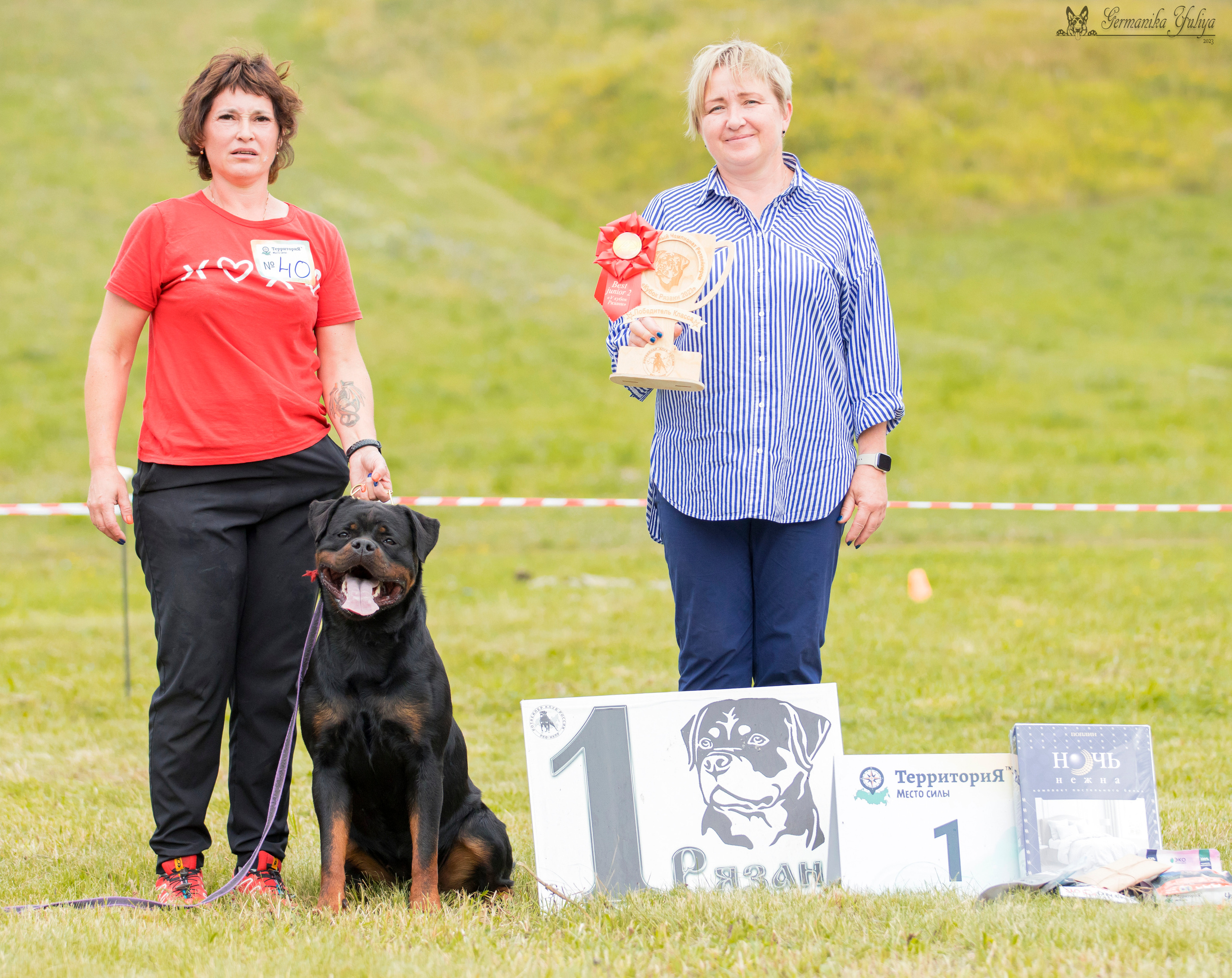 Рязань моно ротвейлеров 12.08.2023. Фотограф-анималист Юлия Германика