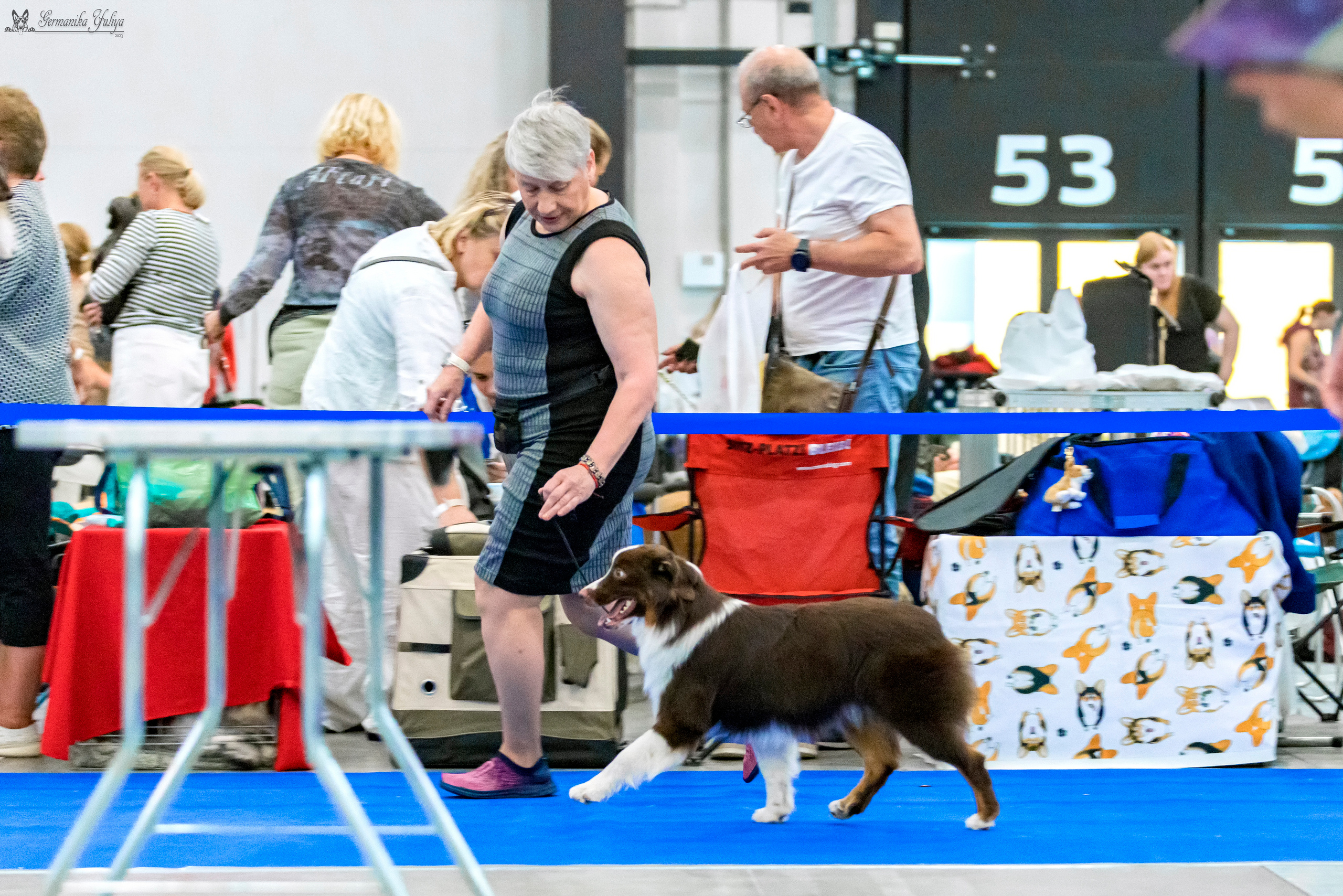 Питер 2-3.09.2023. Фотограф-анималист Юлия Германика