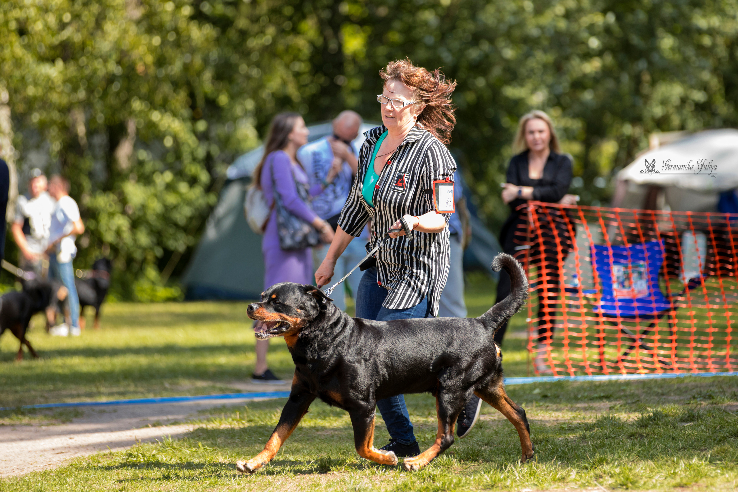 ПК и КЧК ротвейлеров Питер 22-23.07.2023. Фотограф-анималист Юлия Германика