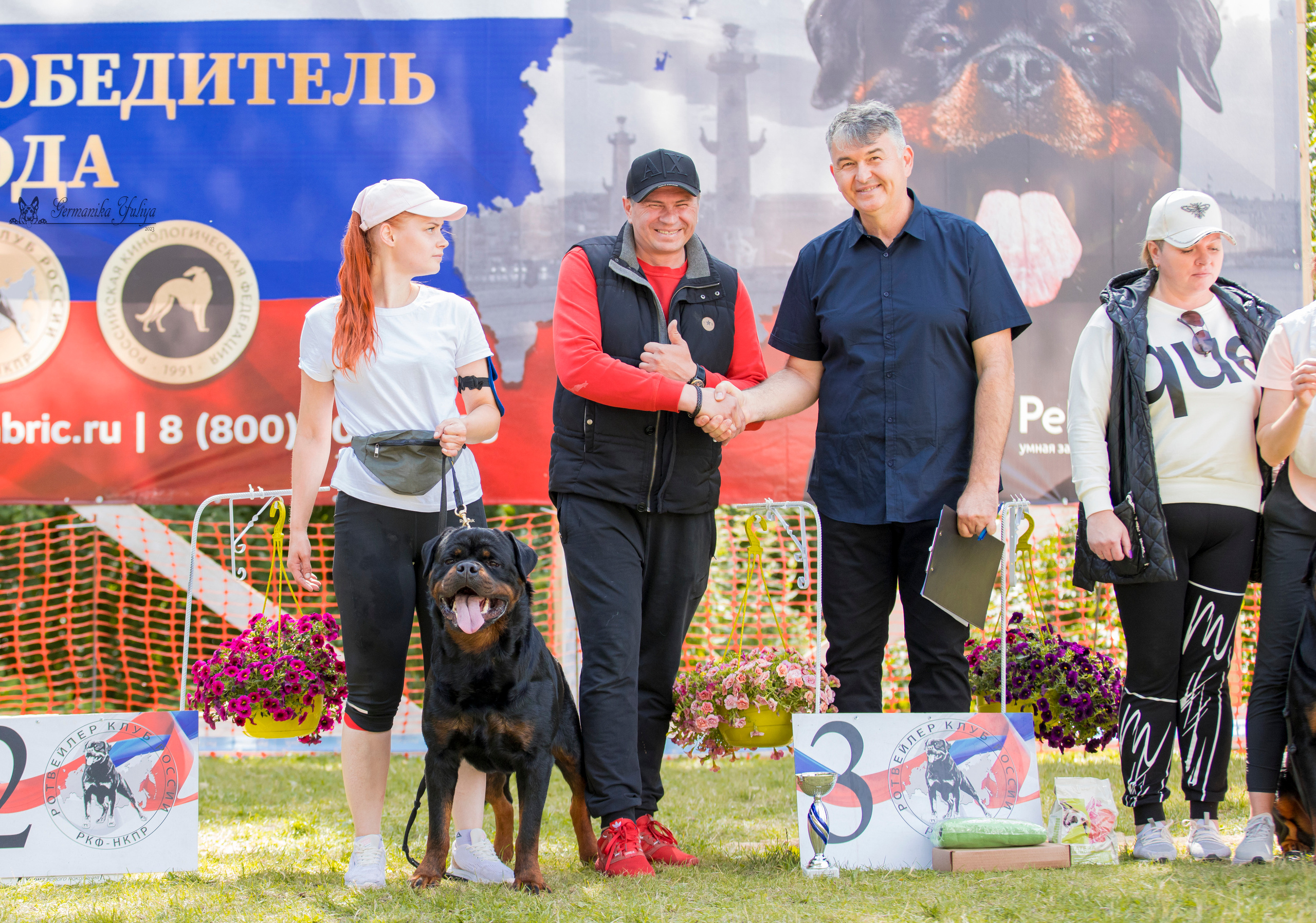 ПК и КЧК ротвейлеров Питер 22-23.07.2023. Фотограф-анималист Юлия Германика
