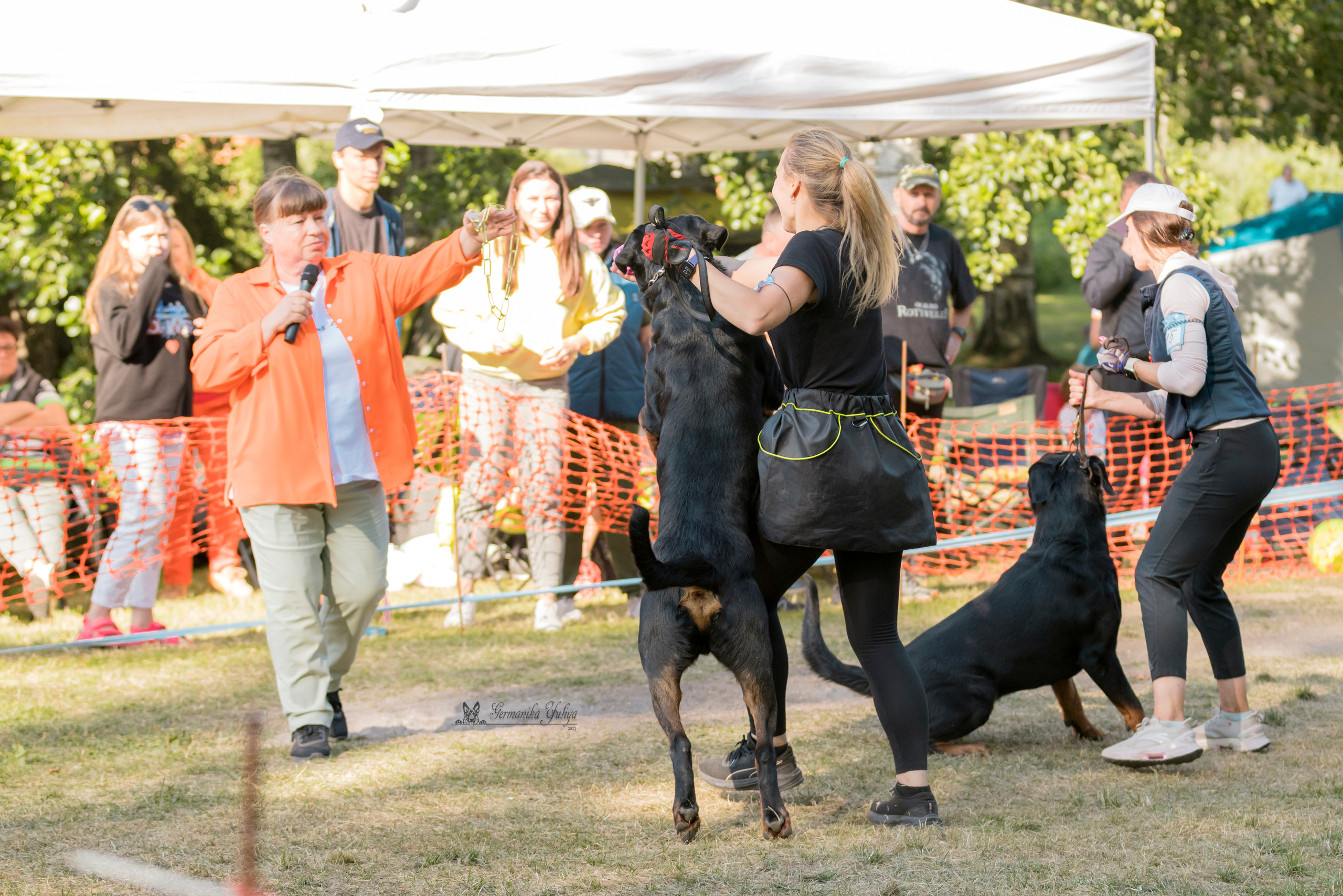 ПК и КЧК ротвейлеров Питер 22-23.07.2023. Фотограф-анималист Юлия Германика