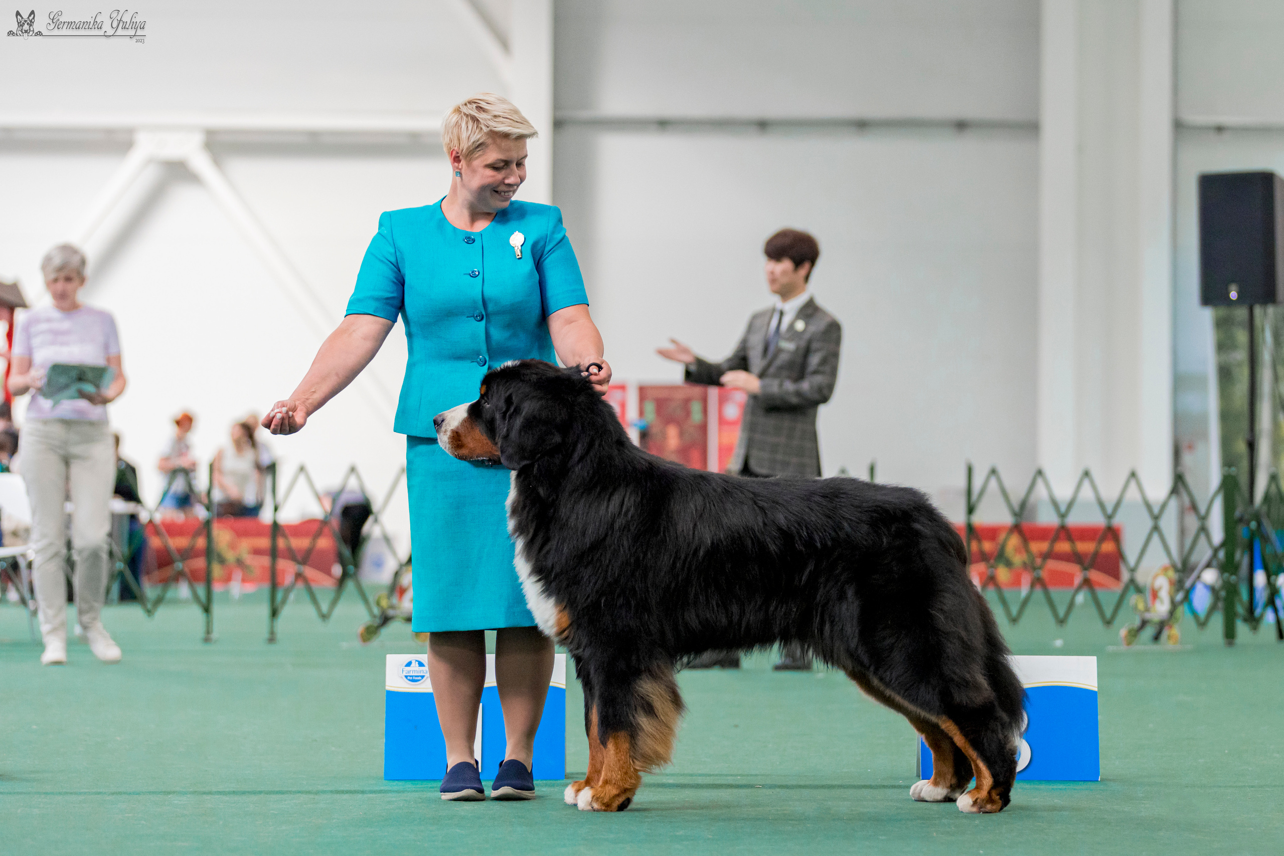 Крокус,Псков 5-6.08.2023. Фотограф-анималист Юлия Германика