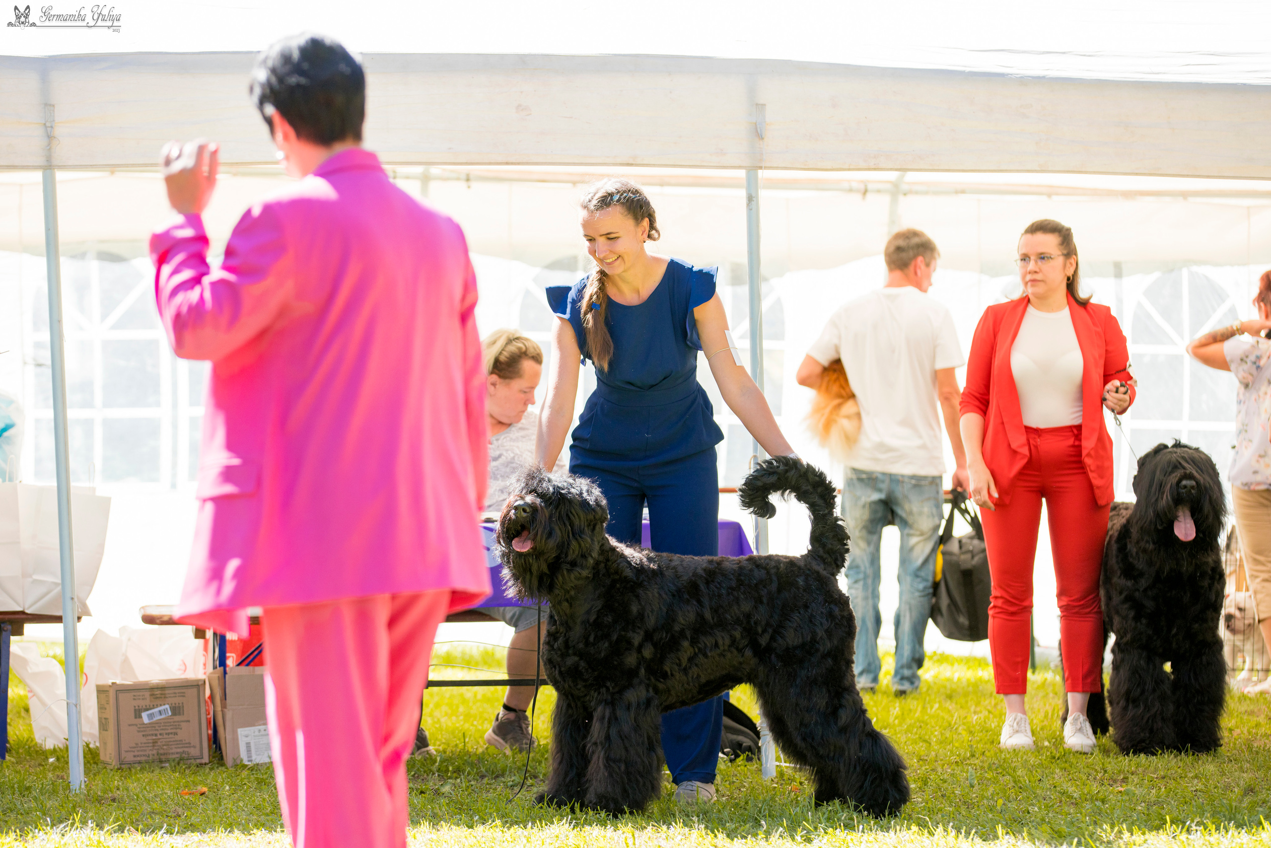 Крокус,Псков 5-6.08.2023. Фотограф-анималист Юлия Германика