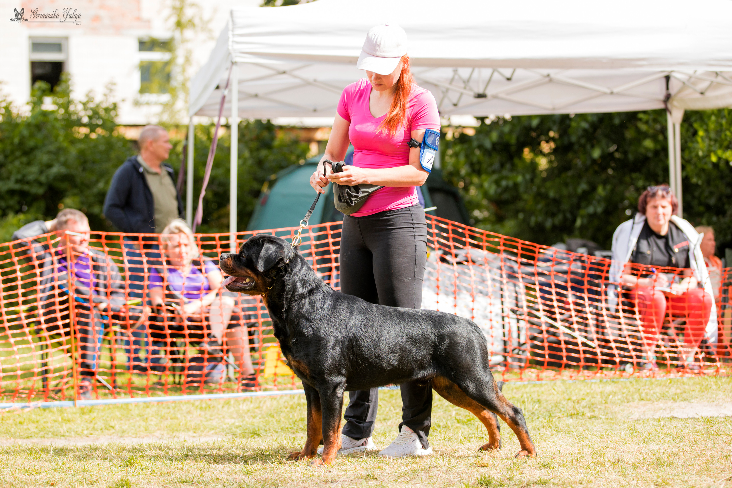 ПК и КЧК ротвейлеров Питер 22-23.07.2023. Фотограф-анималист Юлия Германика