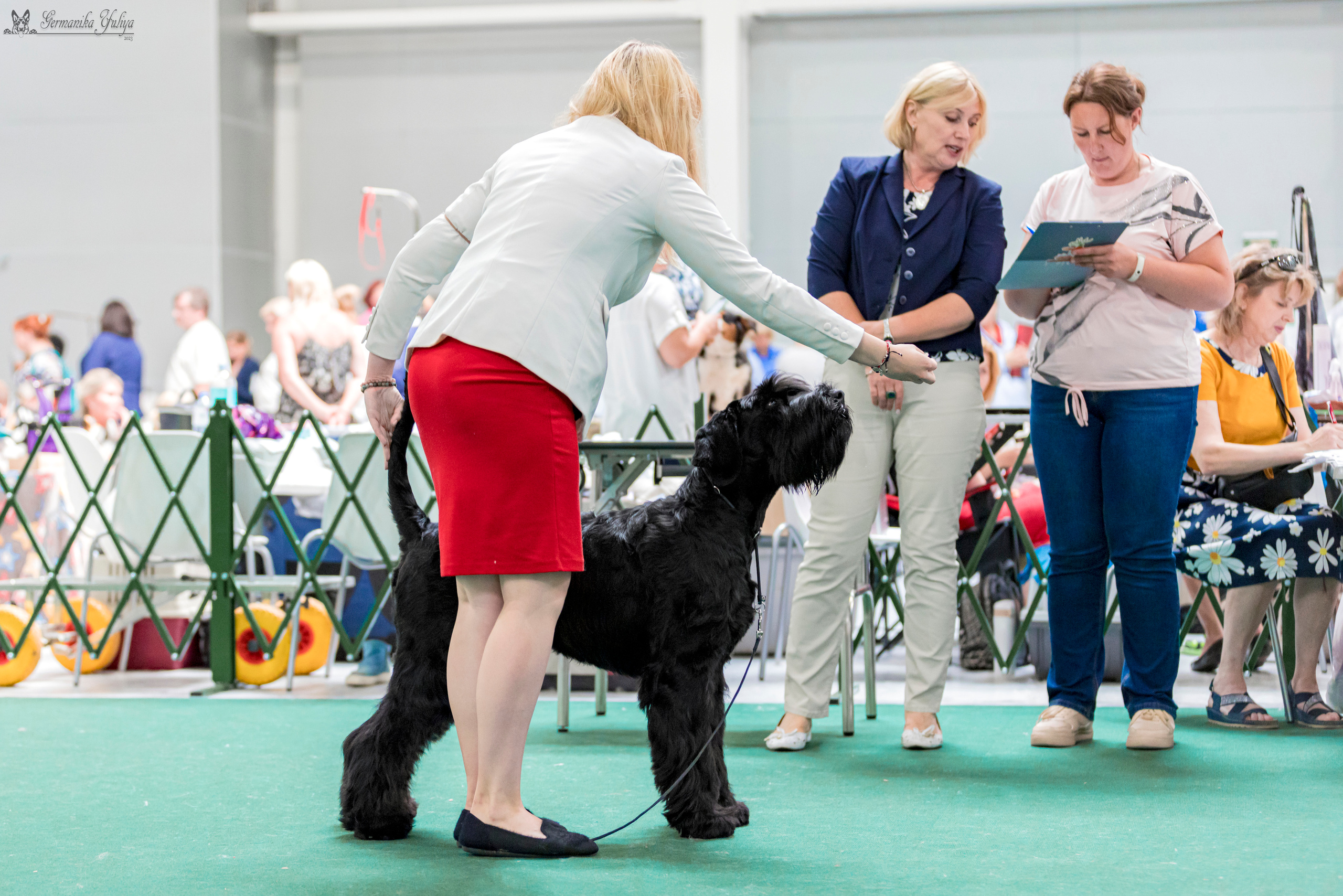 Крокус,Псков 5-6.08.2023. Фотограф-анималист Юлия Германика