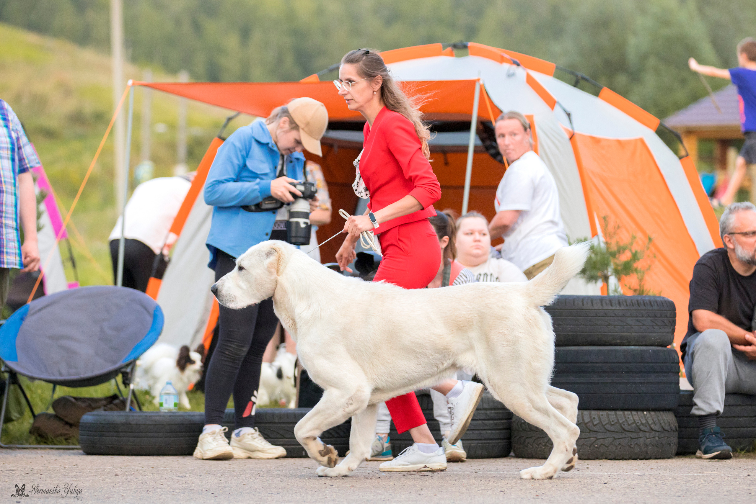 Рязань 12.08.и Пушкино 19.08.2023. Фотограф-анималист Юлия Германика