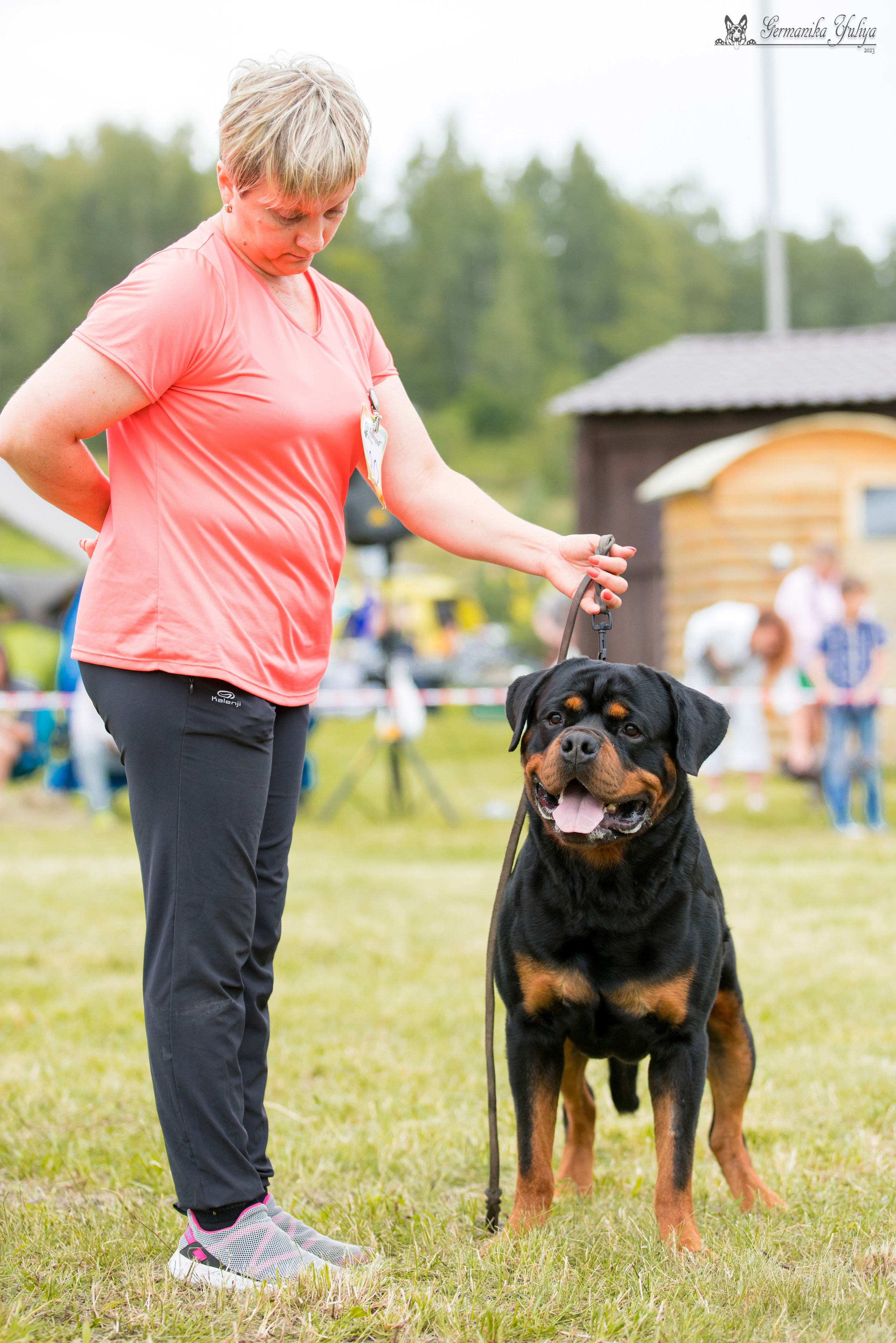 Рязань моно ротвейлеров 12.08.2023. Фотограф-анималист Юлия Германика