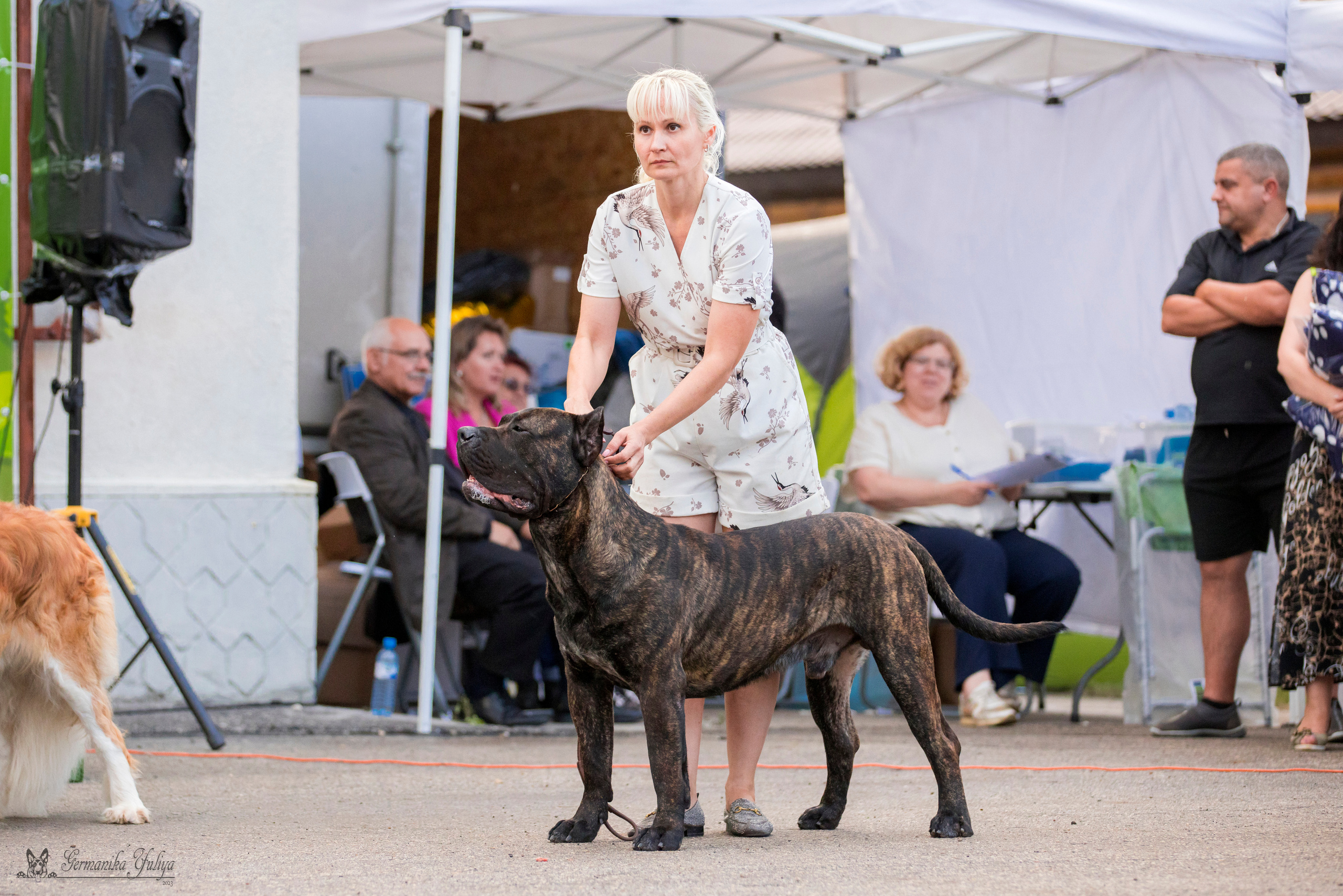 Рязань 12.08.и Пушкино 19.08.2023. Фотограф-анималист Юлия Германика