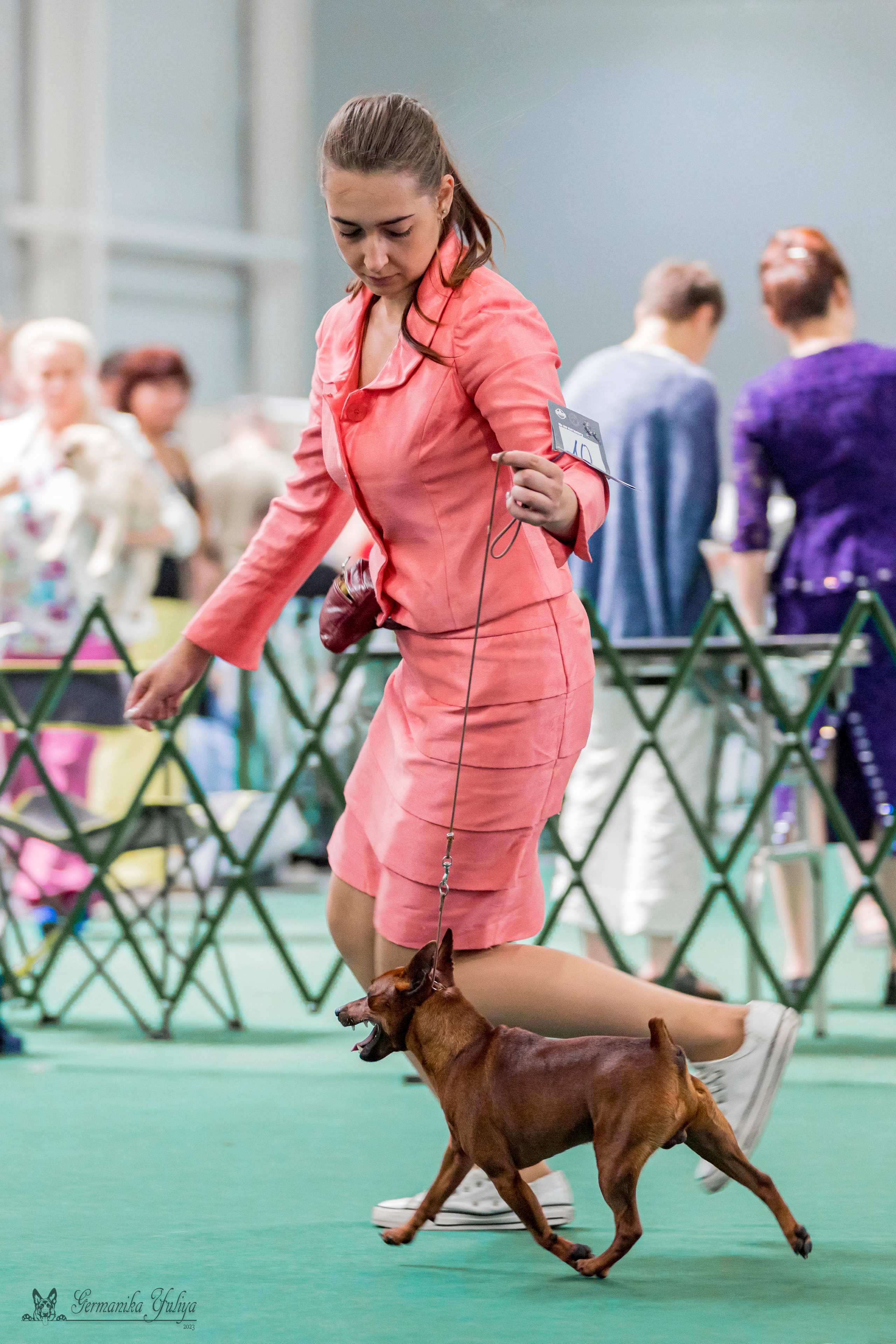 Крокус,Псков 5-6.08.2023. Фотограф-анималист Юлия Германика