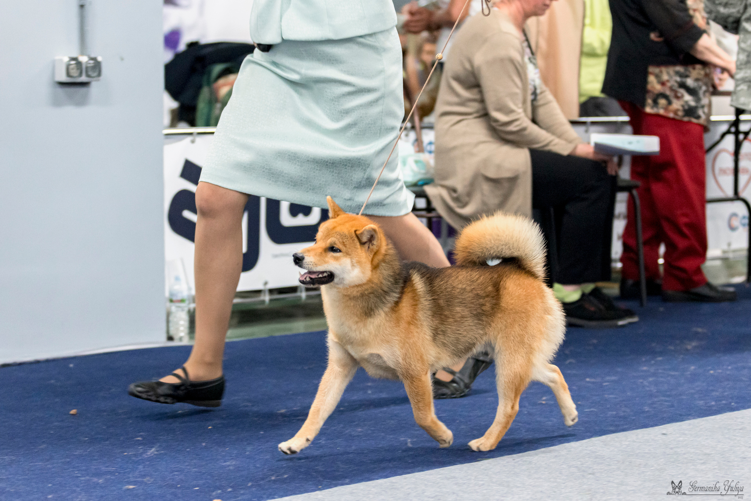 Сфера-Ховрино 29-30.07.2023. Фотограф-анималист Юлия Германика