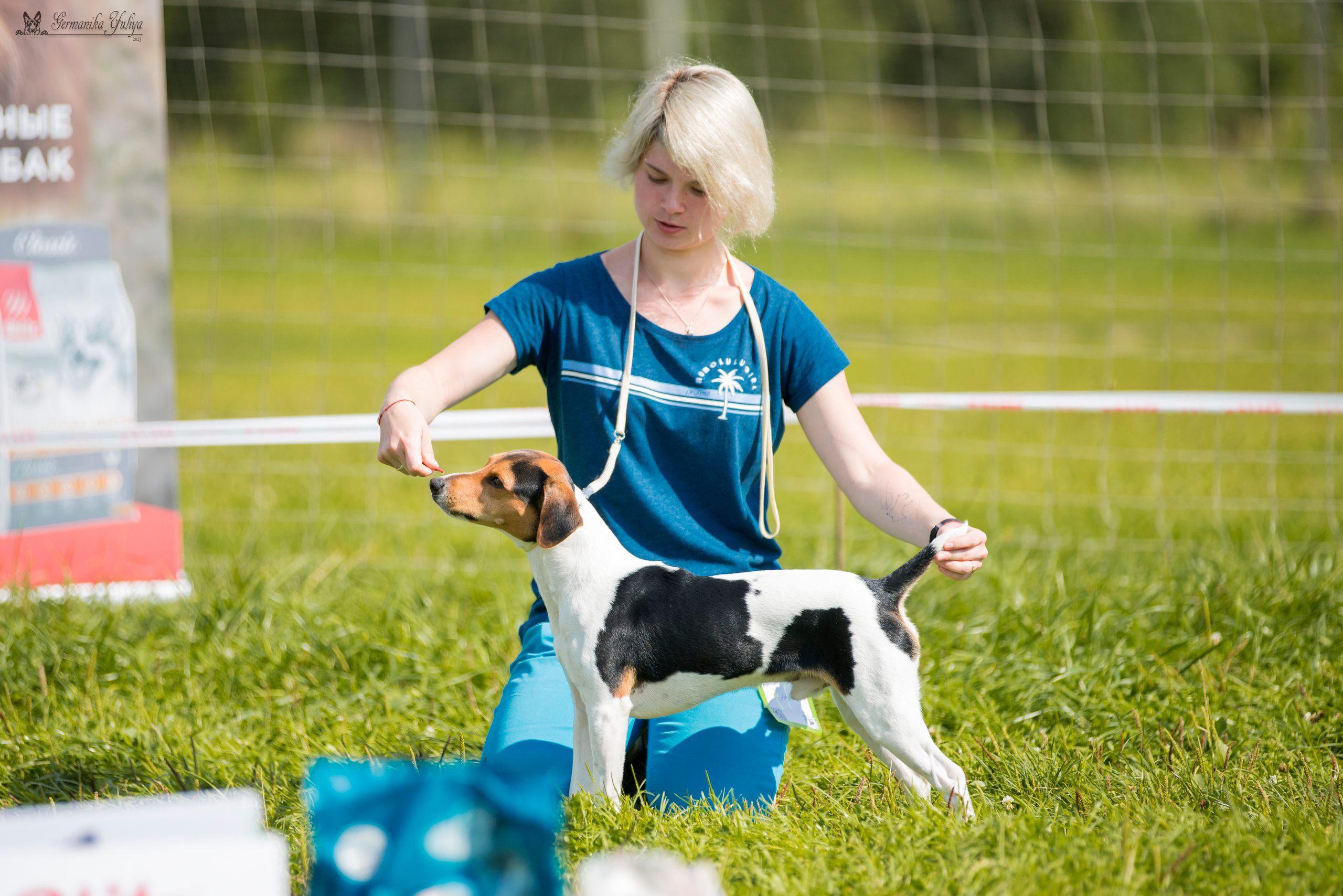 Рязань 12.08.и Пушкино 19.08.2023. Фотограф-анималист Юлия Германика