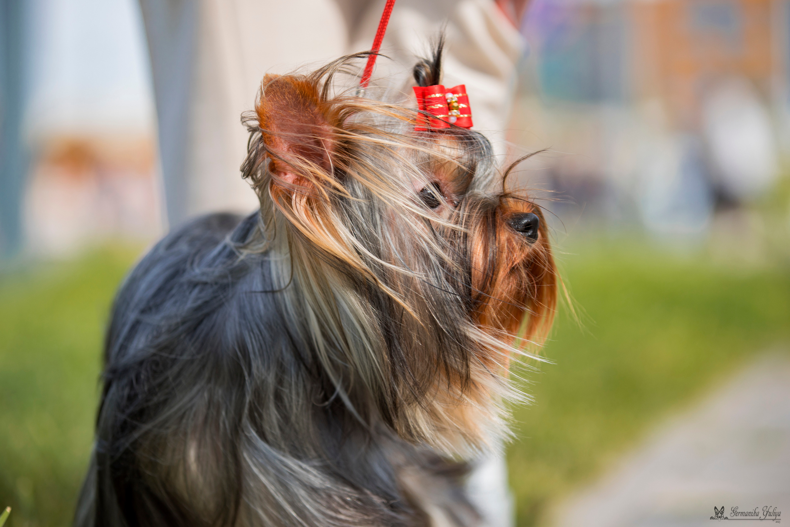 Питер 2-3.09.2023. Фотограф-анималист Юлия Германика