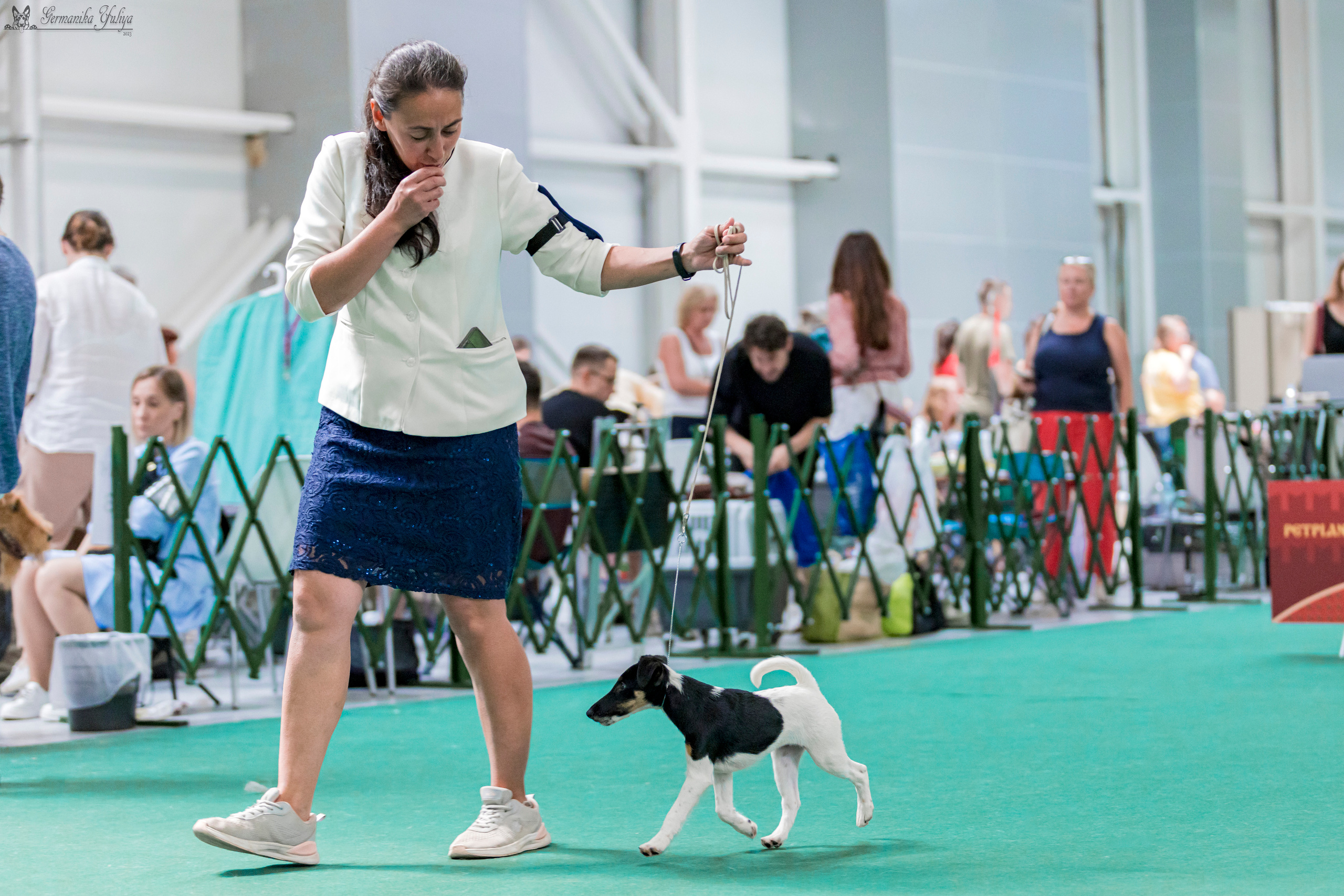 Крокус,Псков 5-6.08.2023. Фотограф-анималист Юлия Германика