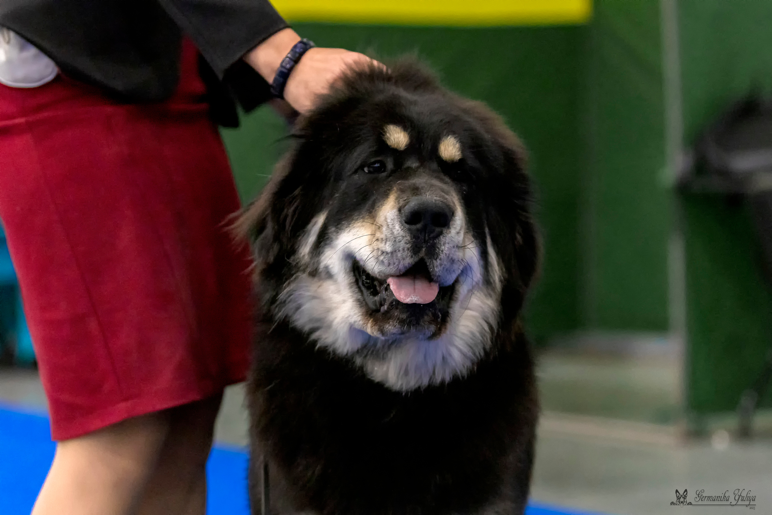 Питер 2-3.09.2023. Фотограф-анималист Юлия Германика