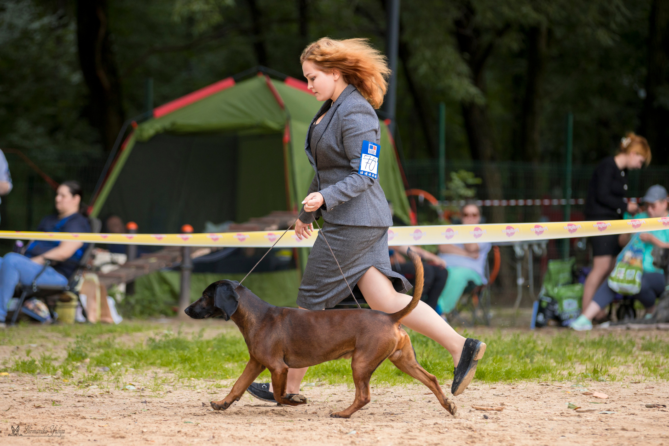 Сфера-Ховрино 29-30.07.2023. Фотограф-анималист Юлия Германика