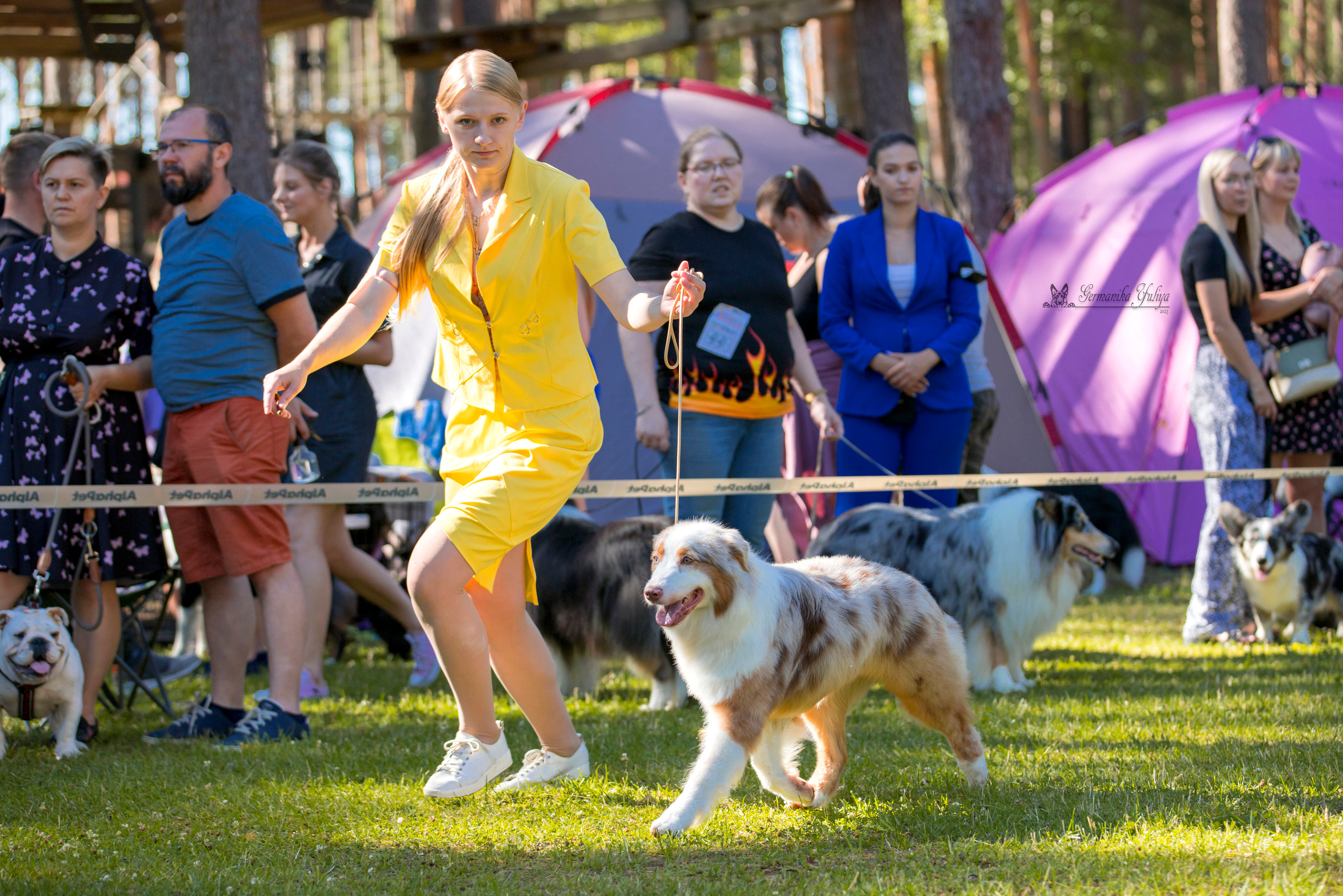 Крокус,Псков 5-6.08.2023. Фотограф-анималист Юлия Германика