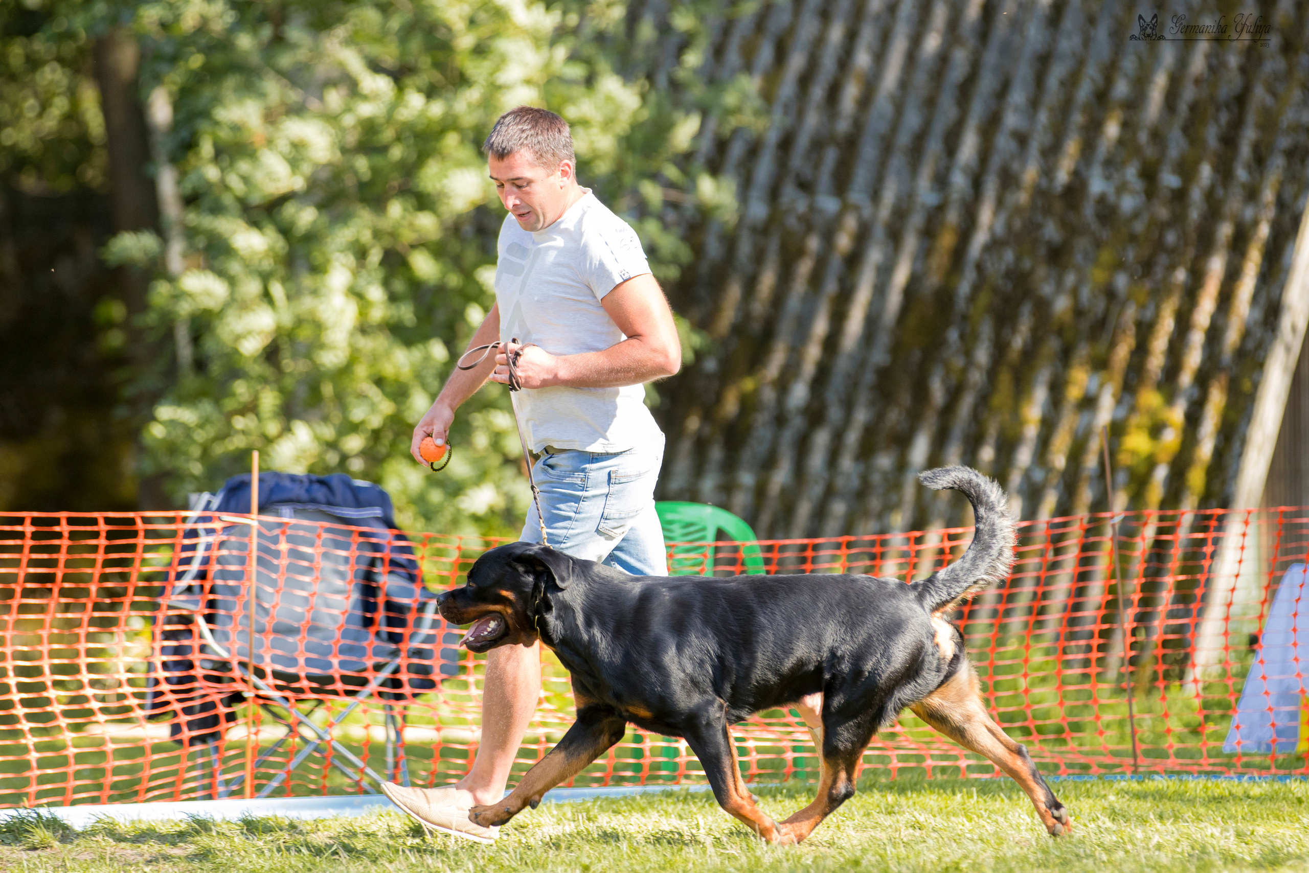 ПК и КЧК ротвейлеров Питер 22-23.07.2023. Фотограф-анималист Юлия Германика