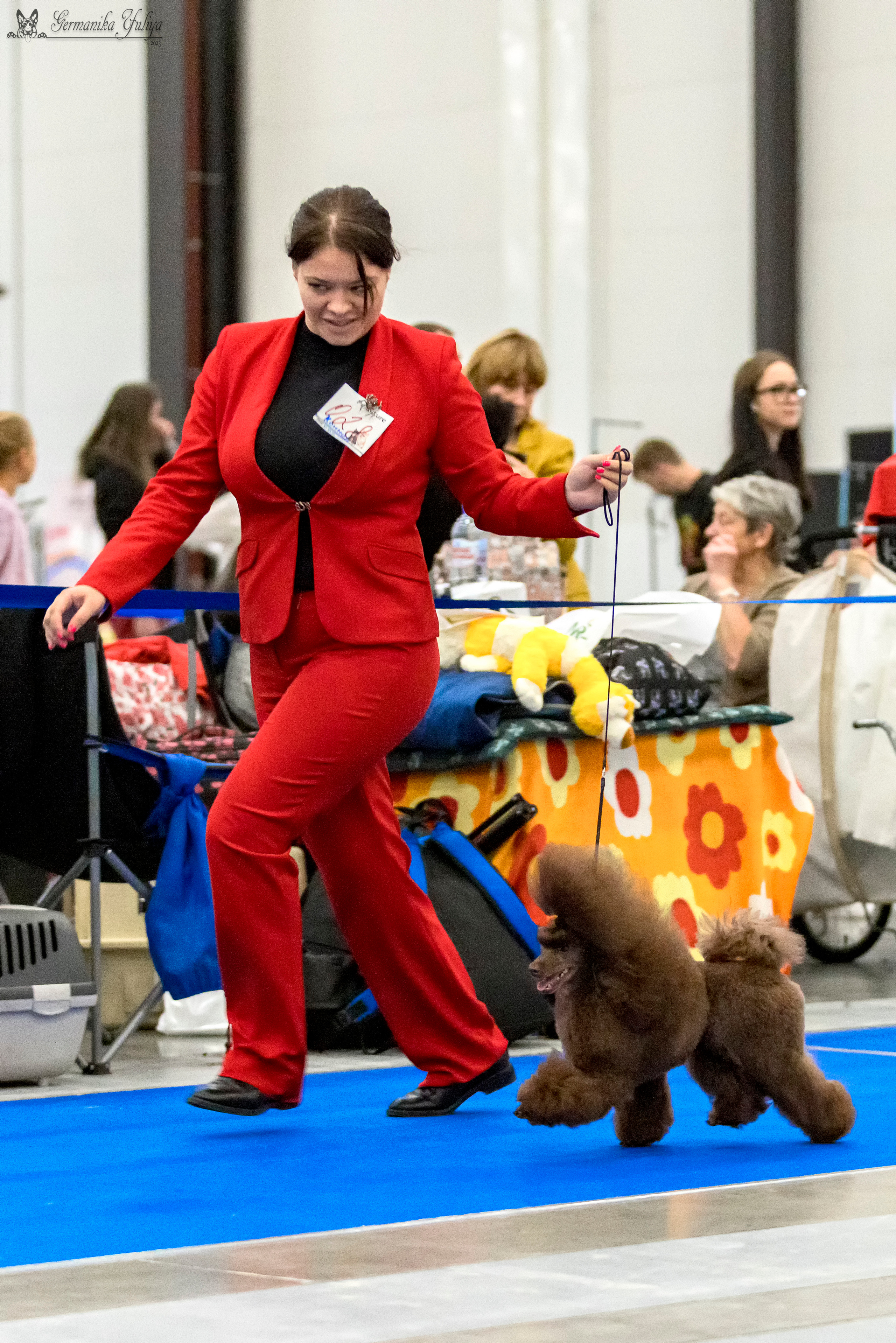 Питер 2-3.09.2023. Фотограф-анималист Юлия Германика