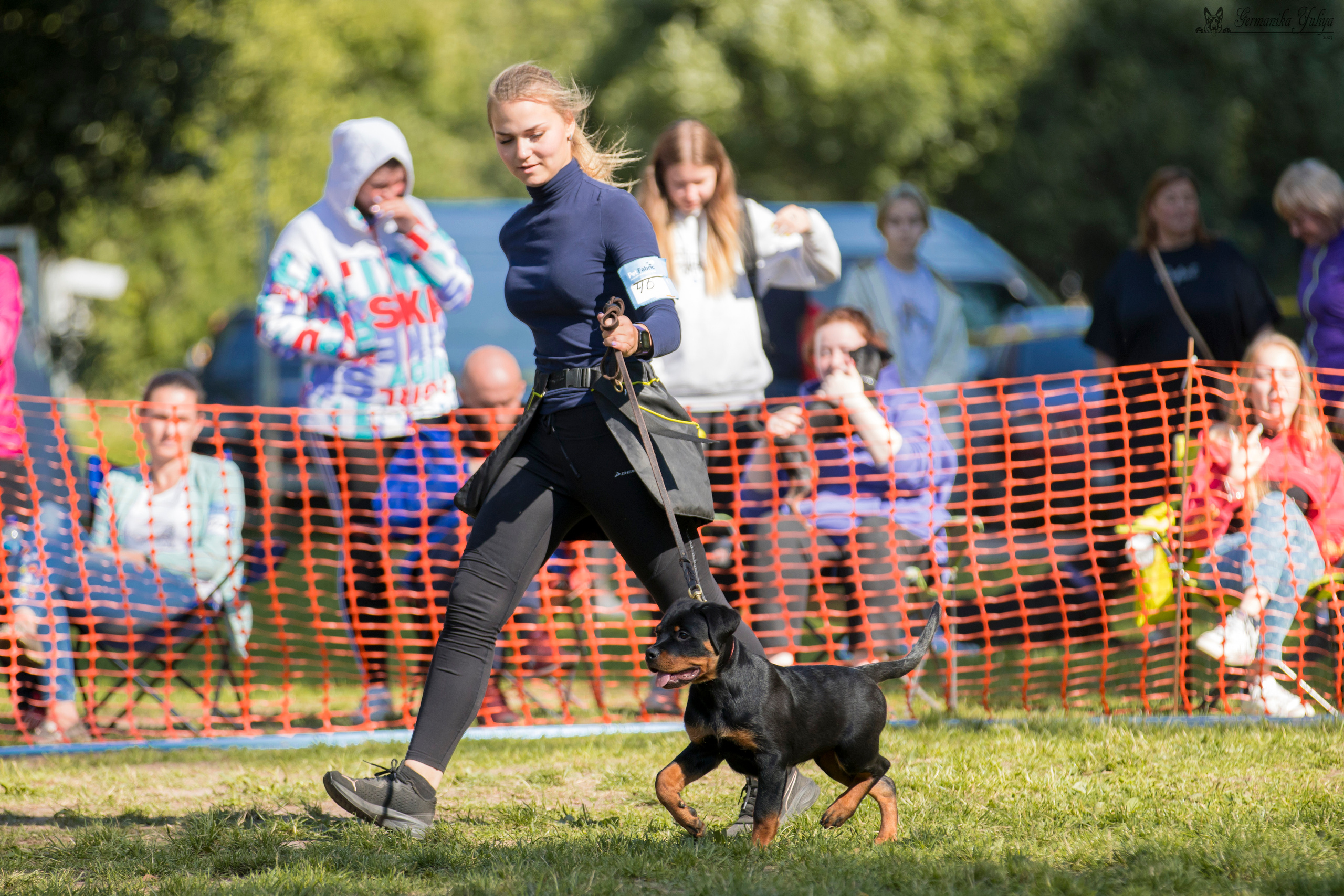ПК и КЧК ротвейлеров Питер 22-23.07.2023. Фотограф-анималист Юлия Германика