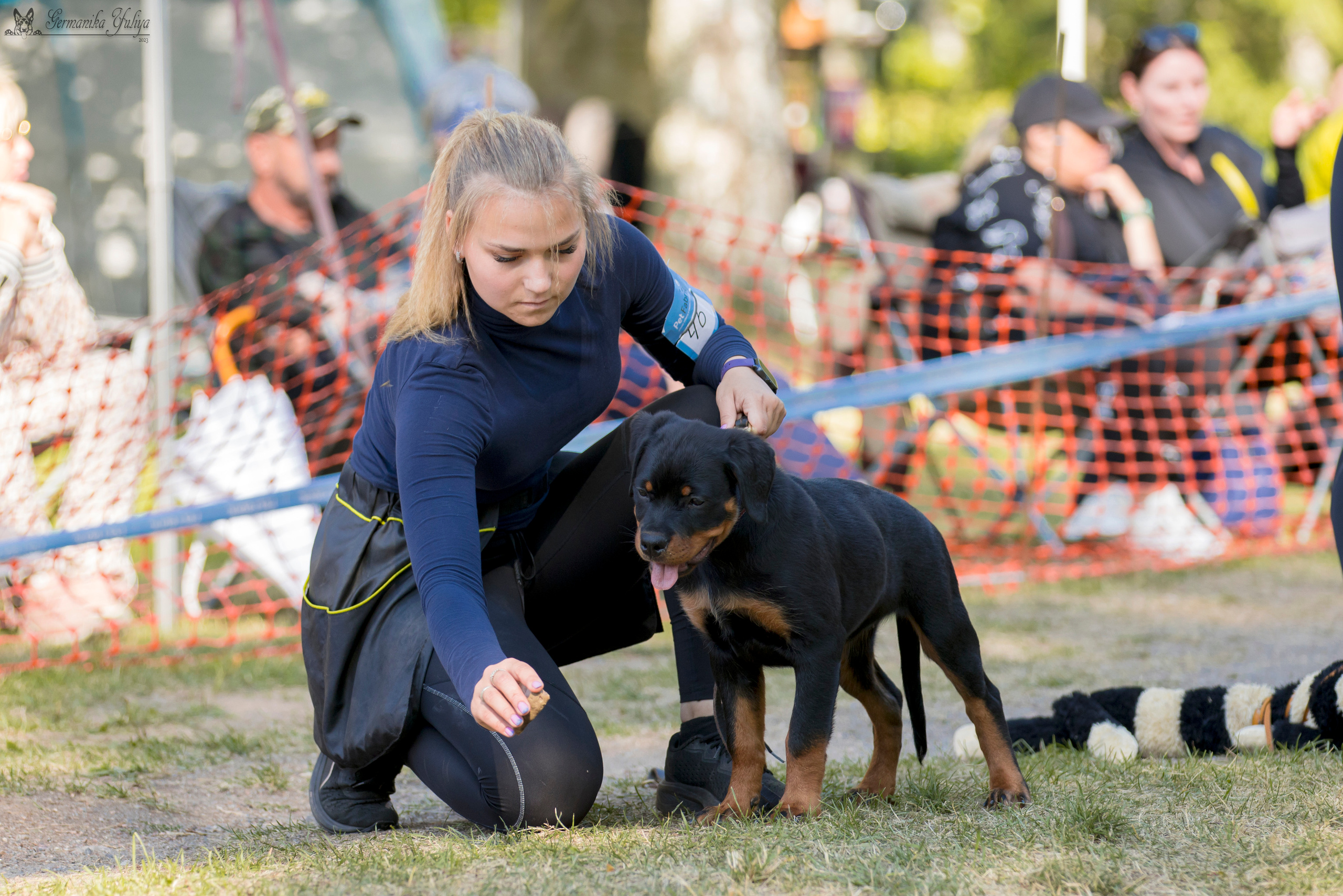 ПК и КЧК ротвейлеров Питер 22-23.07.2023. Фотограф-анималист Юлия Германика