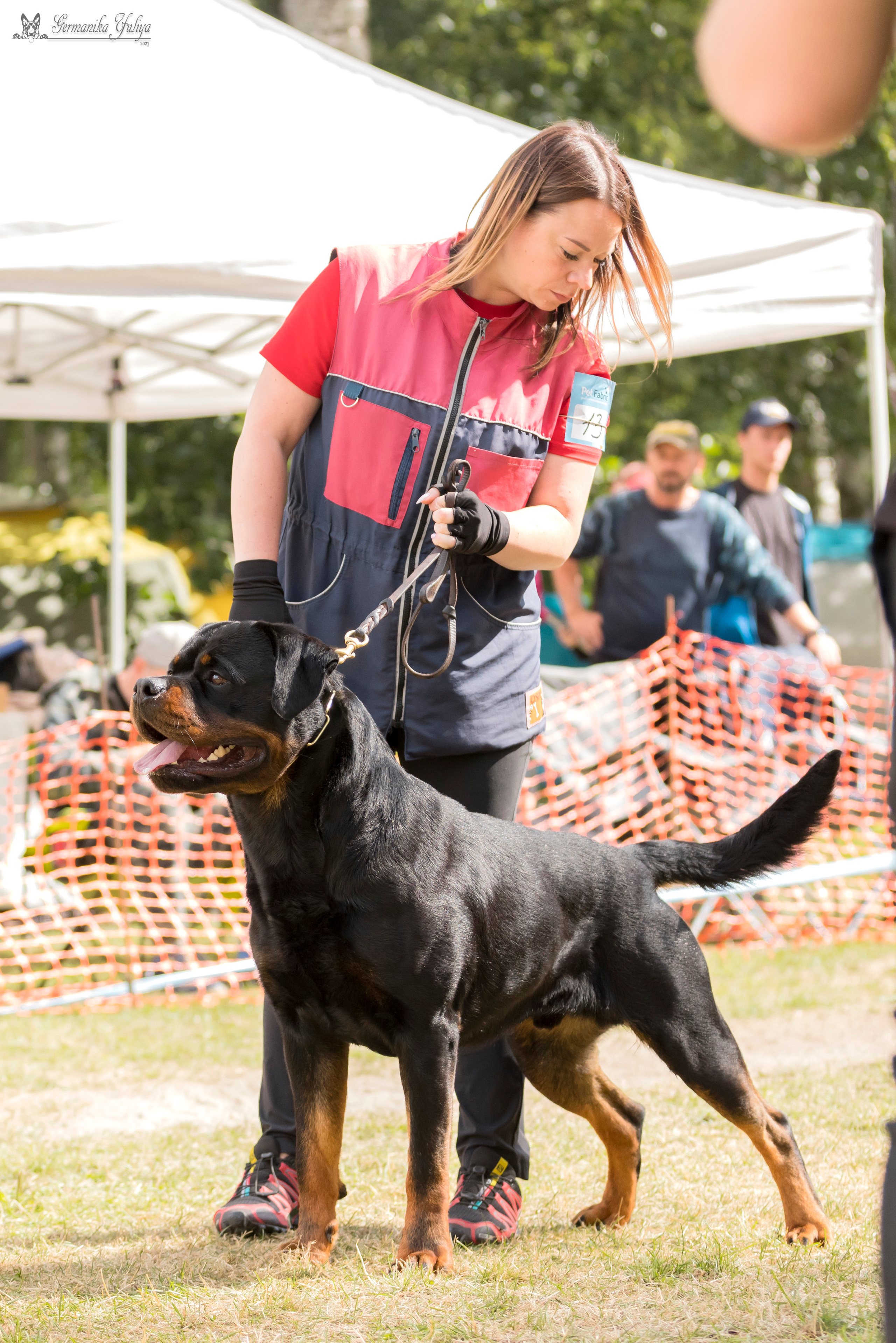 ПК и КЧК ротвейлеров Питер 22-23.07.2023. Фотограф-анималист Юлия Германика