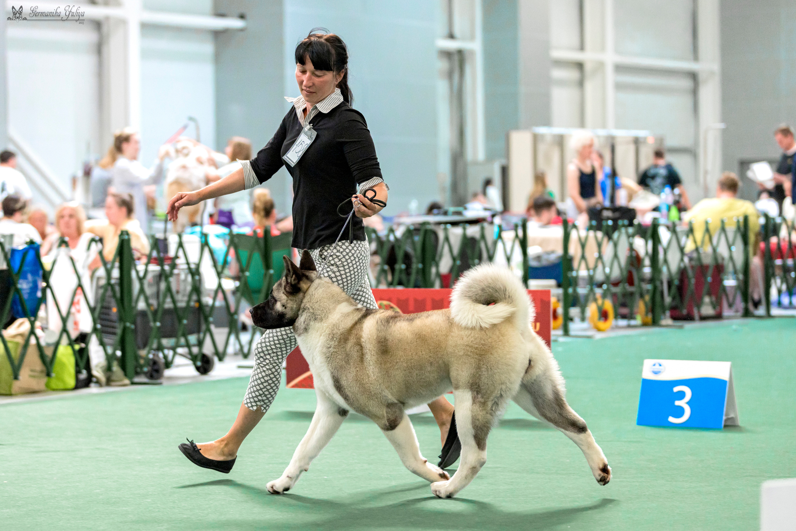 Крокус,Псков 5-6.08.2023. Фотограф-анималист Юлия Германика