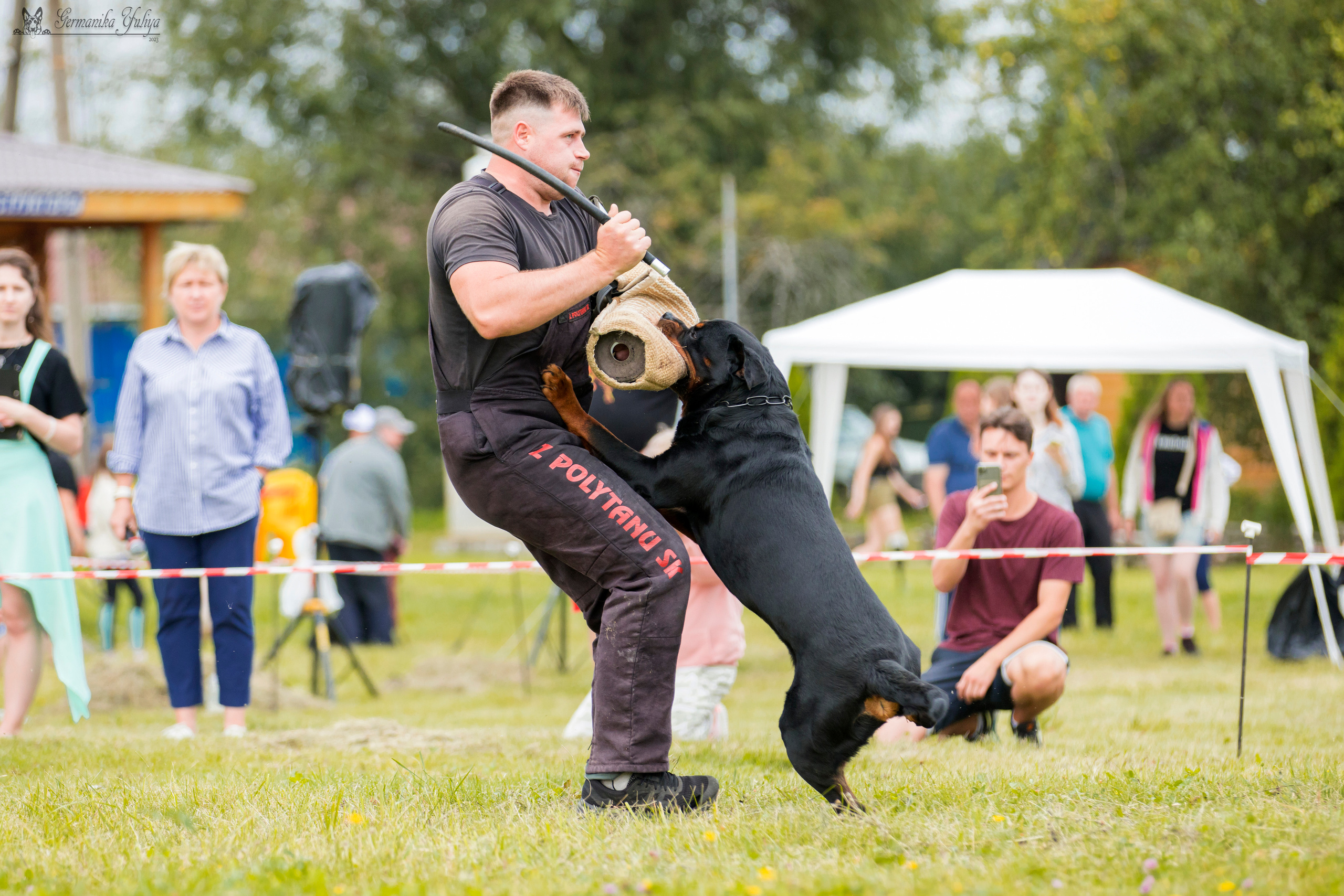 Рязань моно ротвейлеров 12.08.2023. Фотограф-анималист Юлия Германика