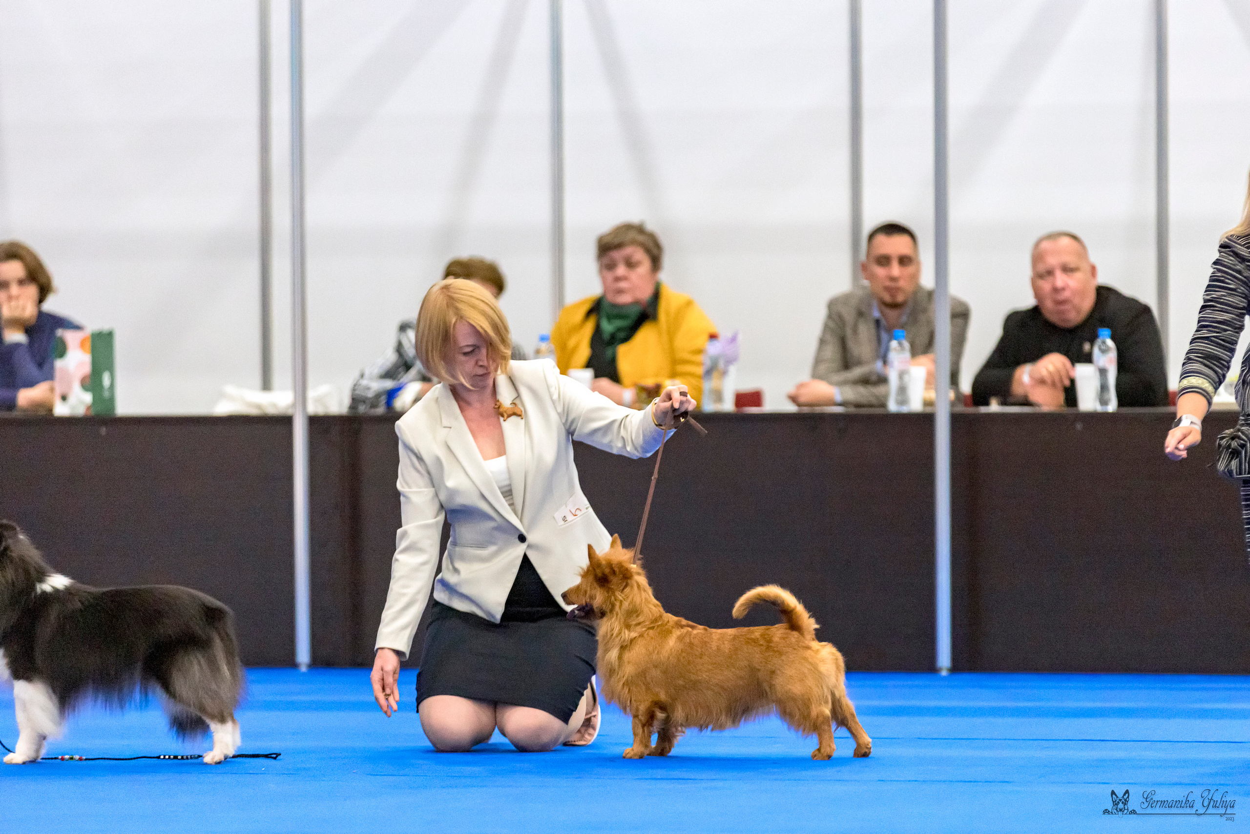 Питер 2-3.09.2023. Фотограф-анималист Юлия Германика