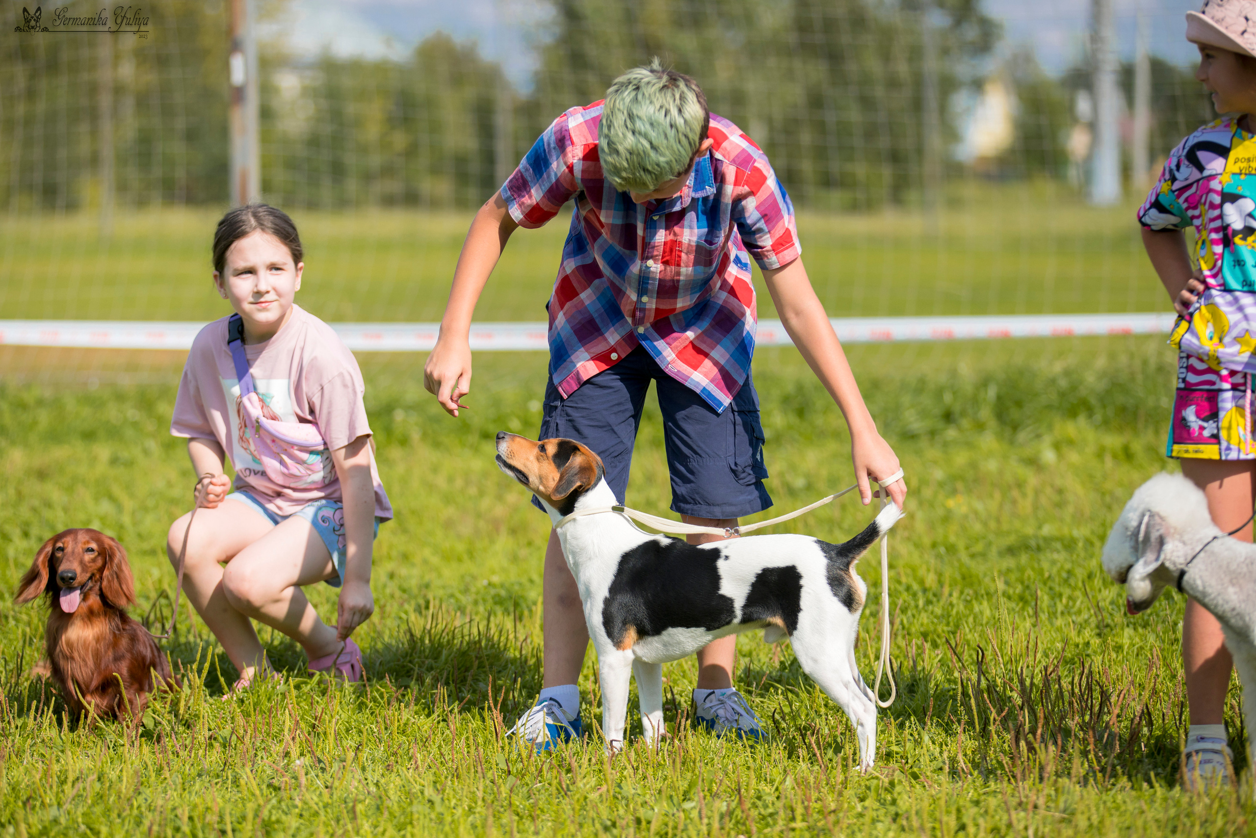 Рязань 12.08.и Пушкино 19.08.2023. Фотограф-анималист Юлия Германика