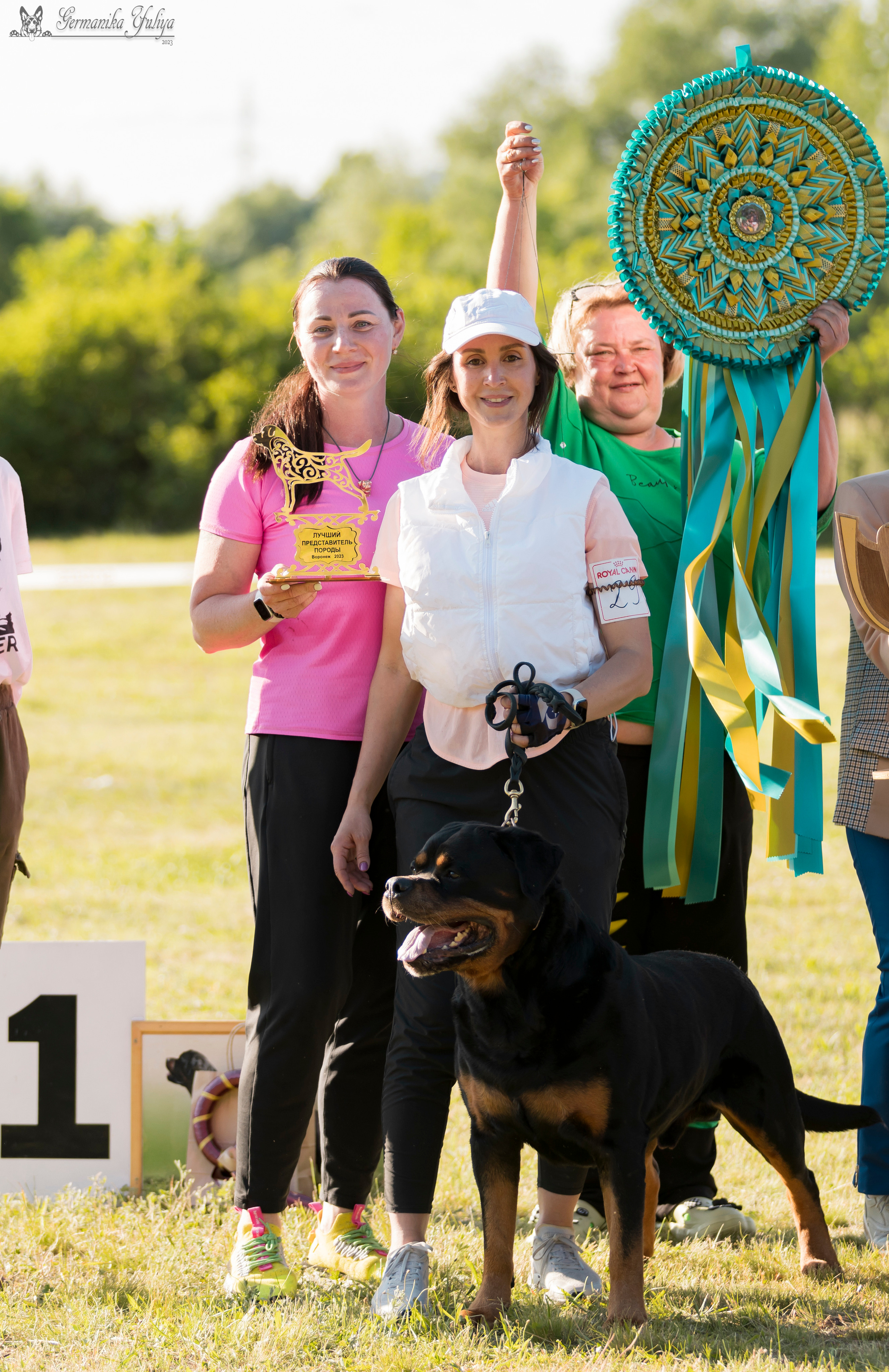 Воронеж 2хмоно ротвейлеров 3-4.06.2023. Фотограф-анималист Юлия Германика