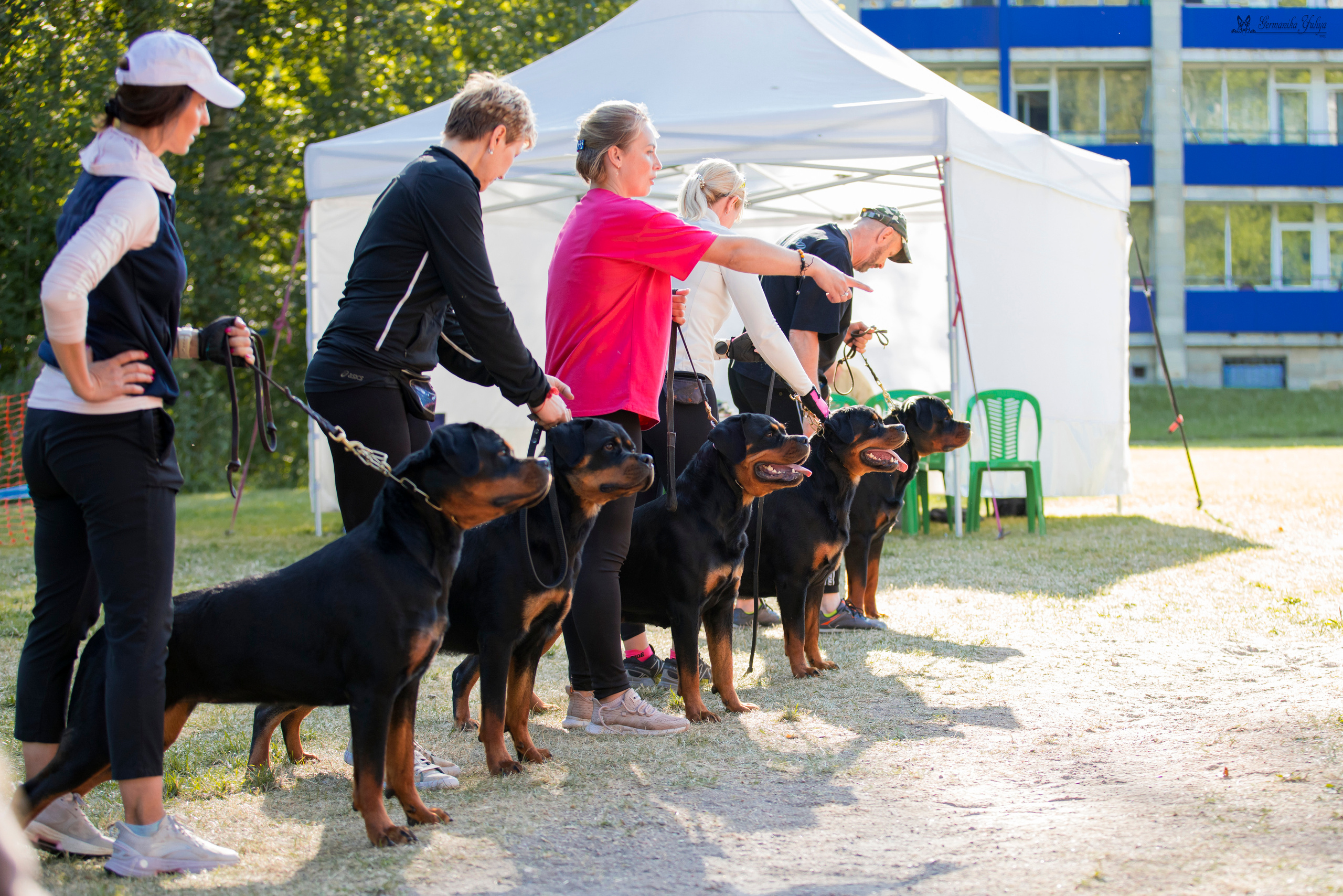 ПК и КЧК ротвейлеров Питер 22-23.07.2023. Фотограф-анималист Юлия Германика