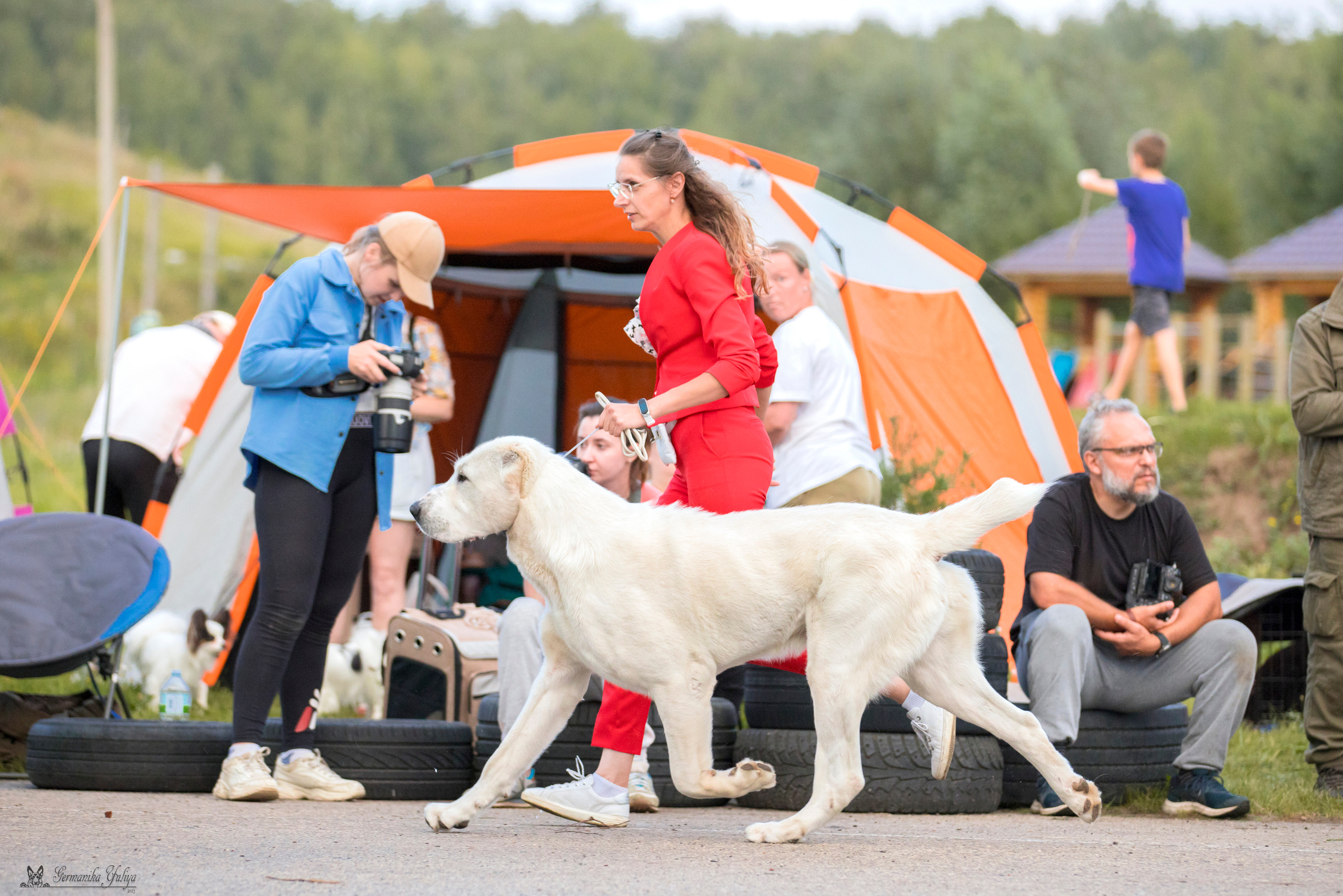 Рязань 12.08.и Пушкино 19.08.2023. Фотограф-анималист Юлия Германика
