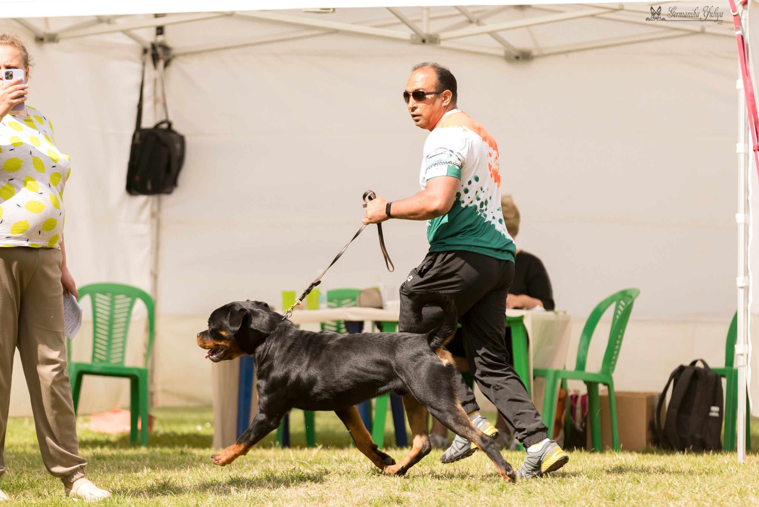 ПК и КЧК ротвейлеров Питер 22-23.07.2023. Фотограф-анималист Юлия Германика
