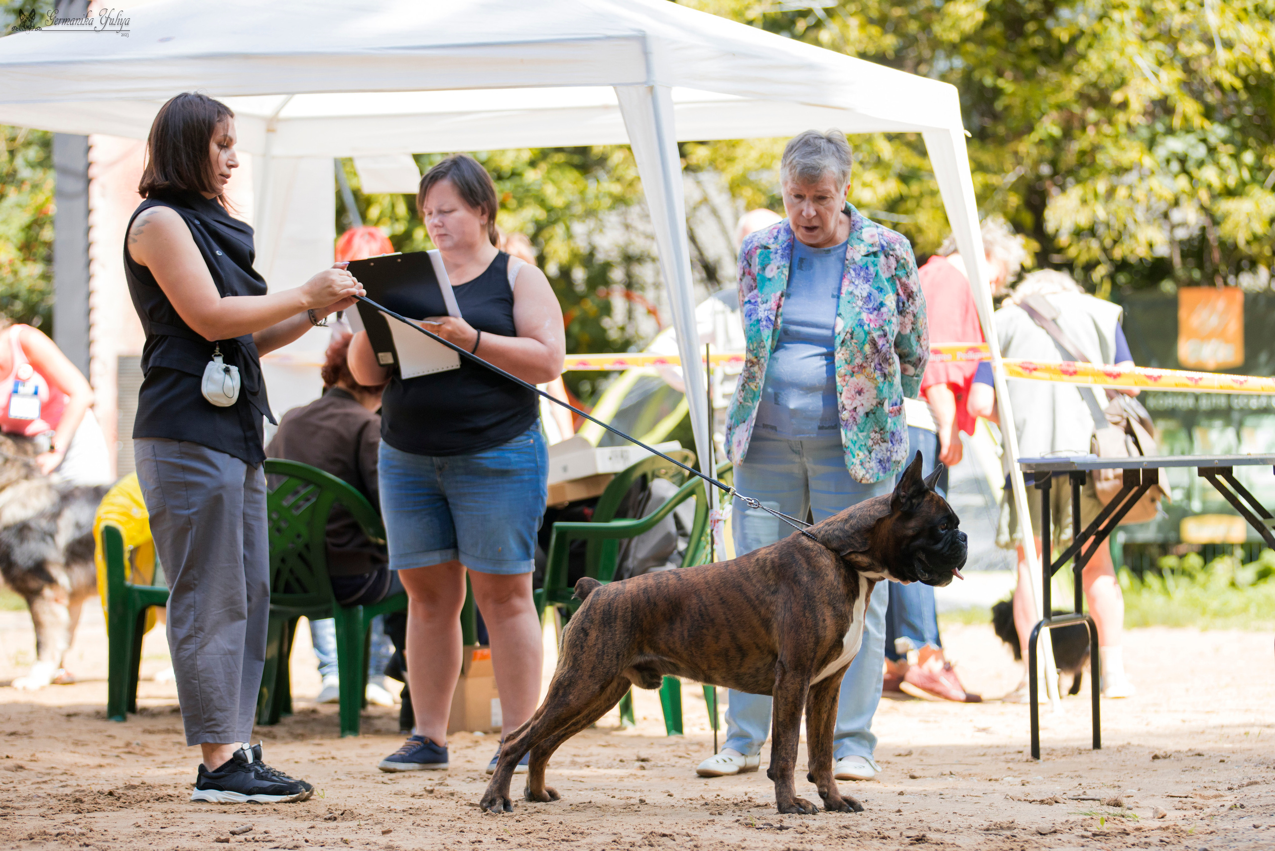 Сфера-Ховрино 29-30.07.2023. Фотограф-анималист Юлия Германика