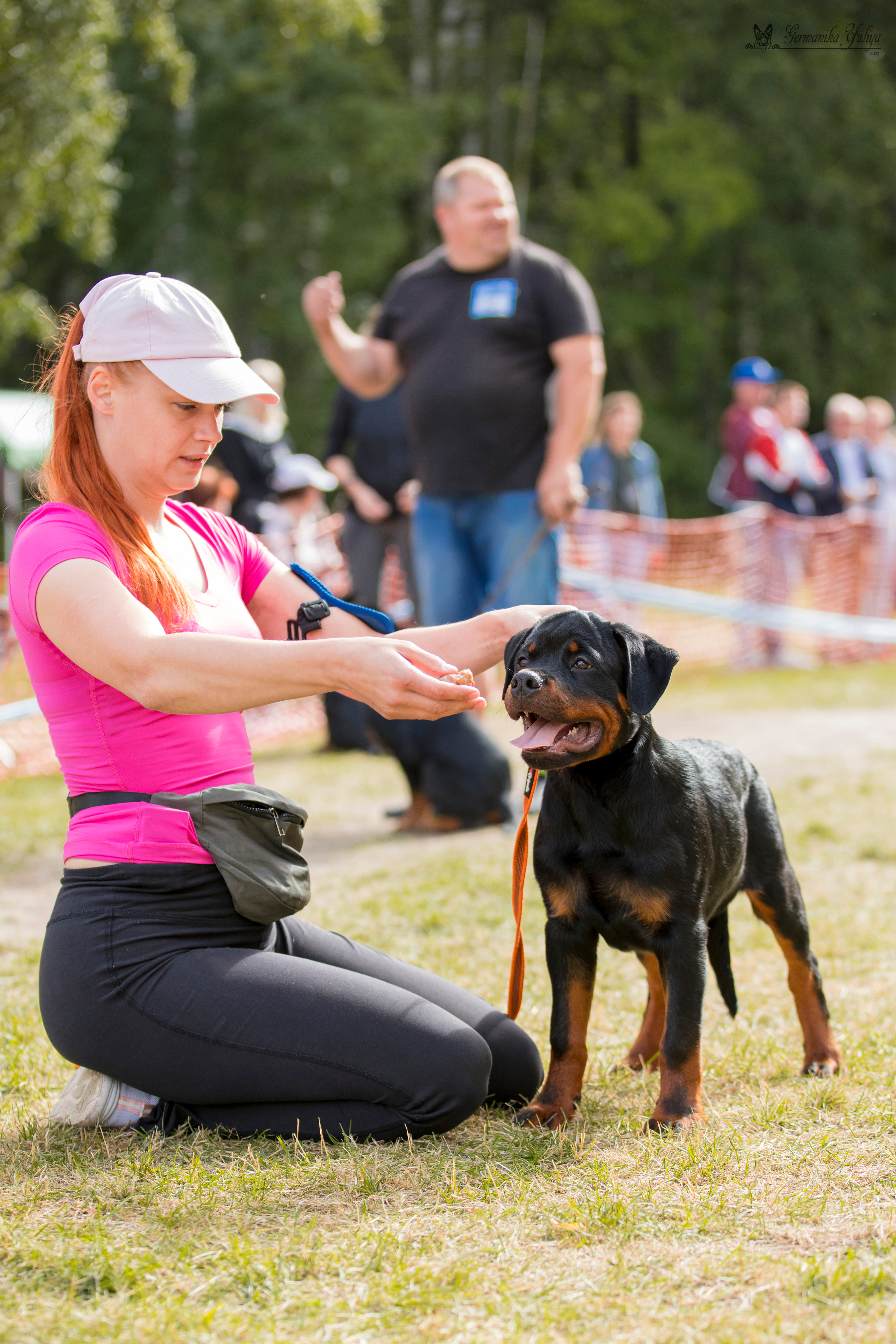 ПК и КЧК ротвейлеров Питер 22-23.07.2023. Фотограф-анималист Юлия Германика