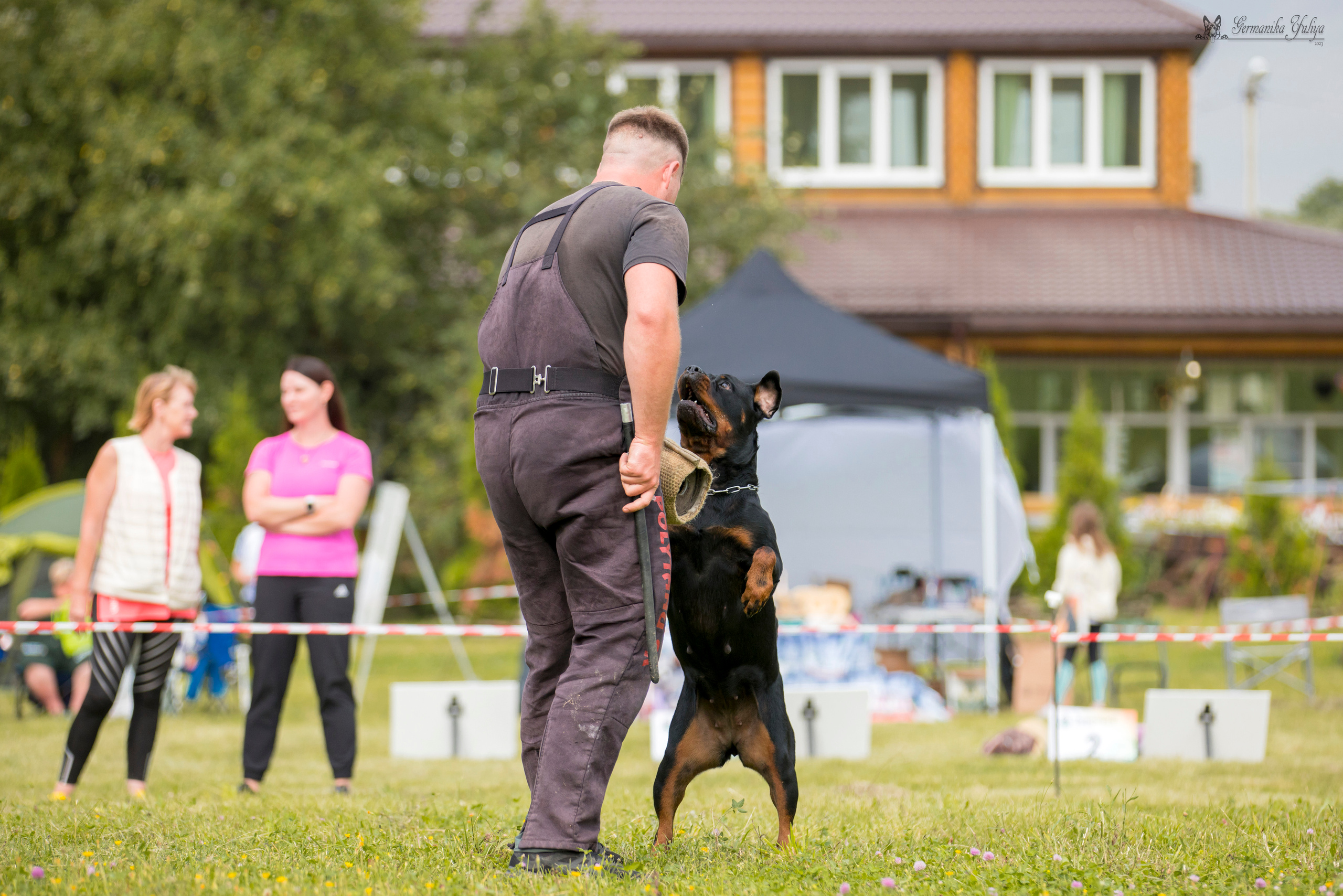 Рязань моно ротвейлеров 12.08.2023. Фотограф-анималист Юлия Германика
