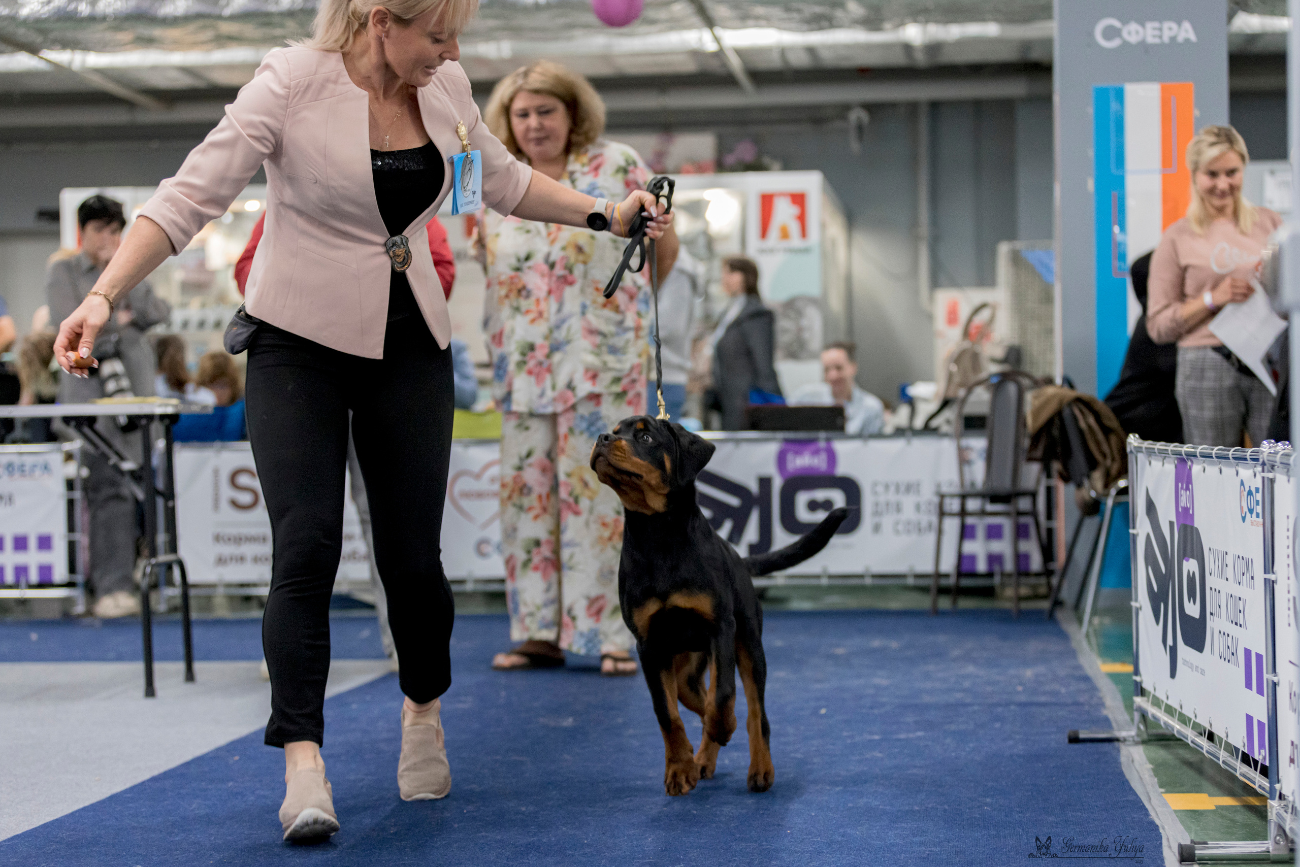 Сфера-Ховрино 29-30.07.2023. Фотограф-анималист Юлия Германика