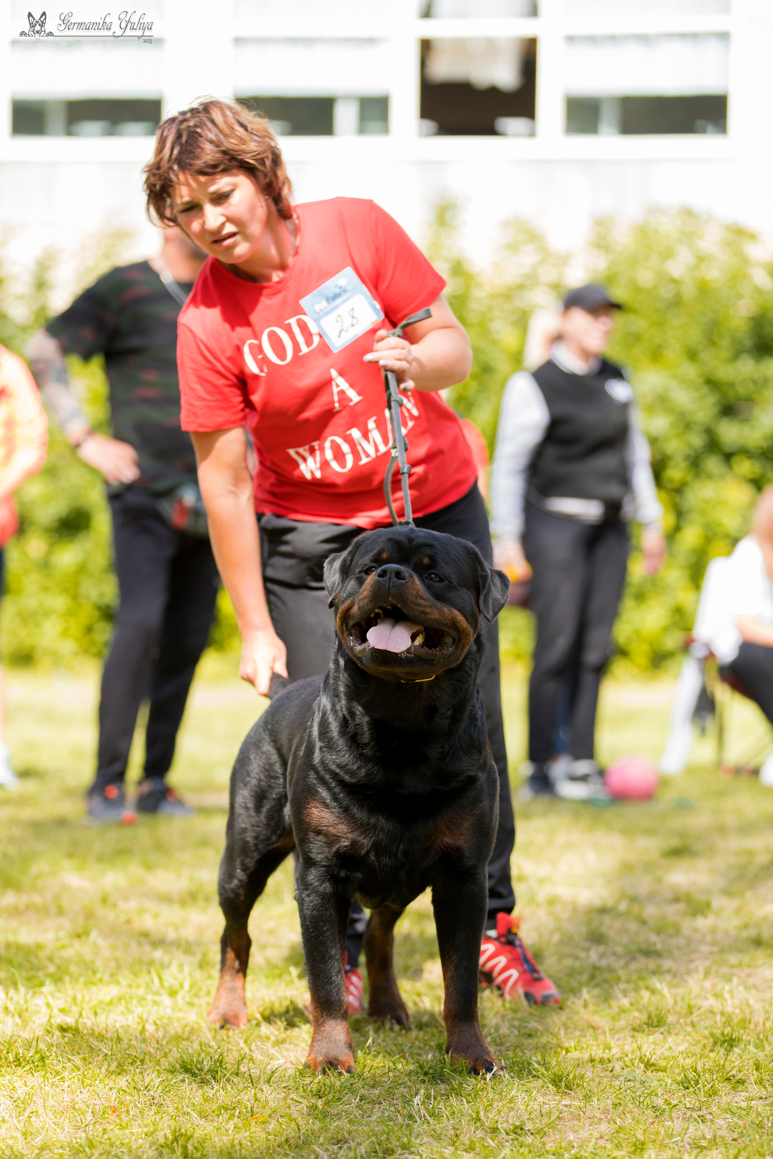 ПК и КЧК ротвейлеров Питер 22-23.07.2023. Фотограф-анималист Юлия Германика