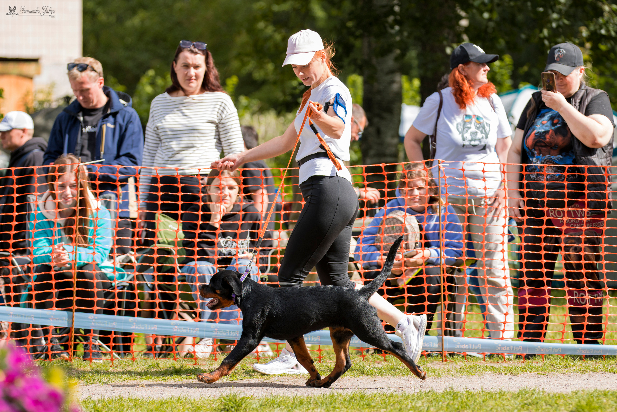 ПК и КЧК ротвейлеров Питер 22-23.07.2023. Фотограф-анималист Юлия Германика
