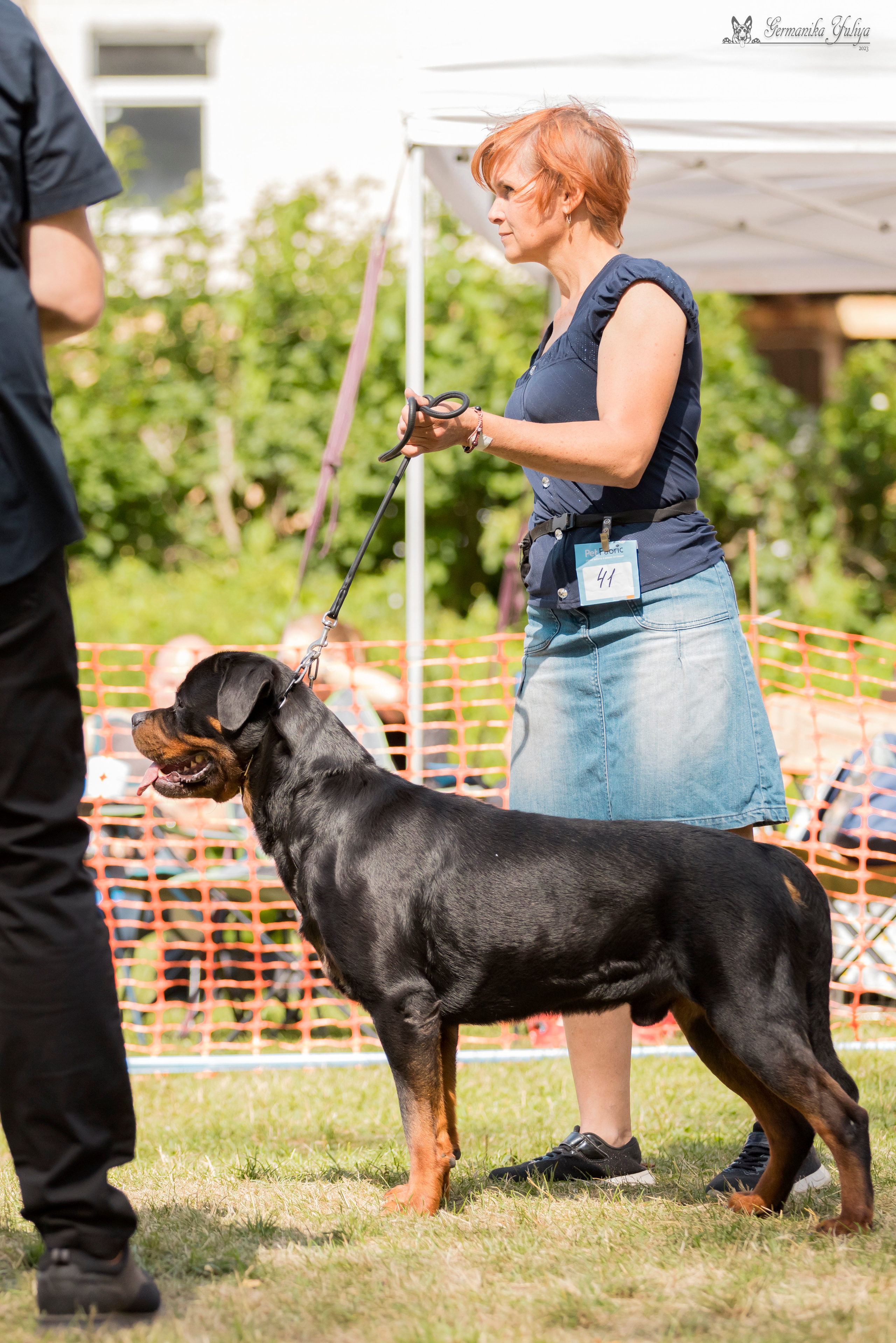 ПК и КЧК ротвейлеров Питер 22-23.07.2023. Фотограф-анималист Юлия Германика