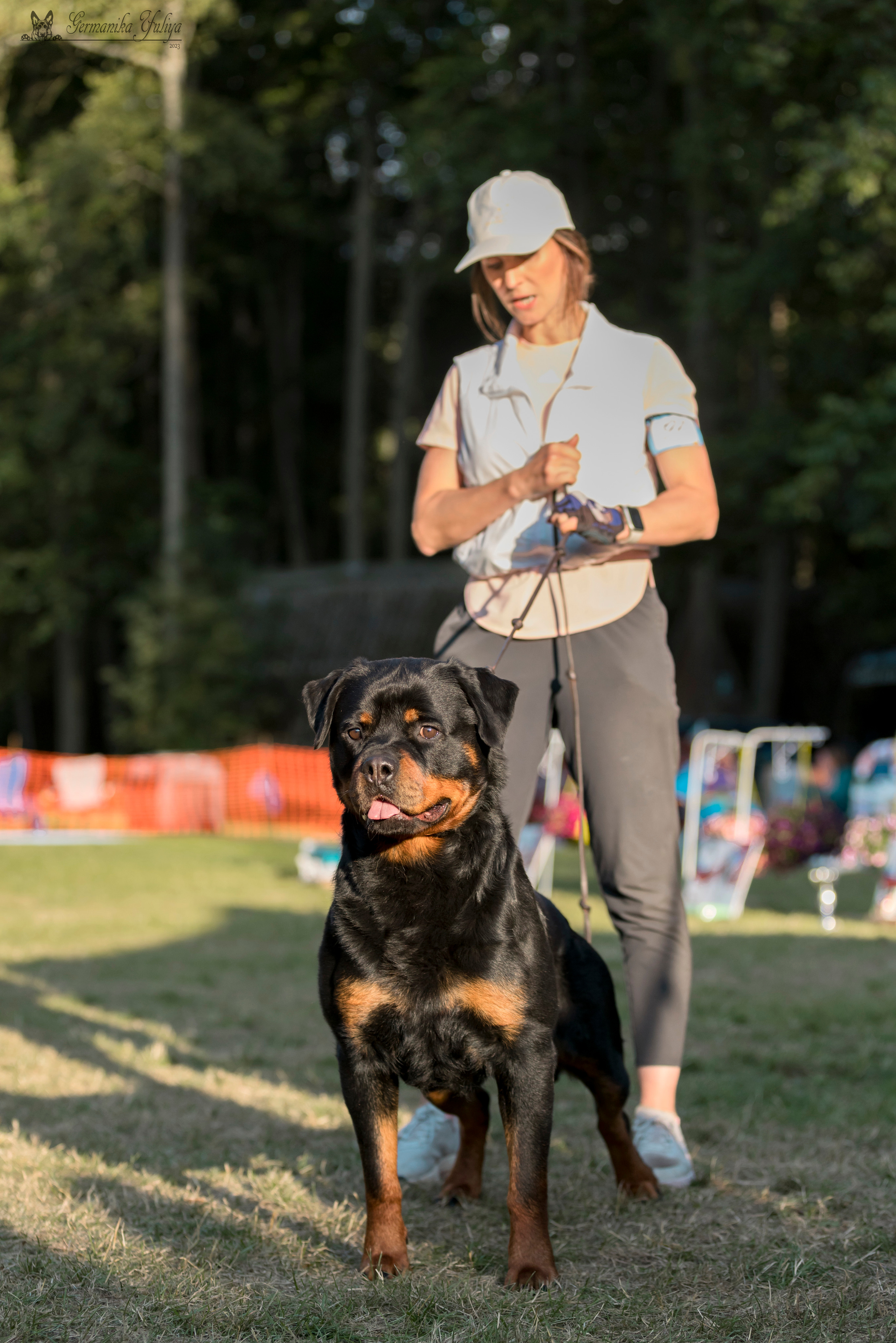 ПК и КЧК ротвейлеров Питер 22-23.07.2023. Фотограф-анималист Юлия Германика