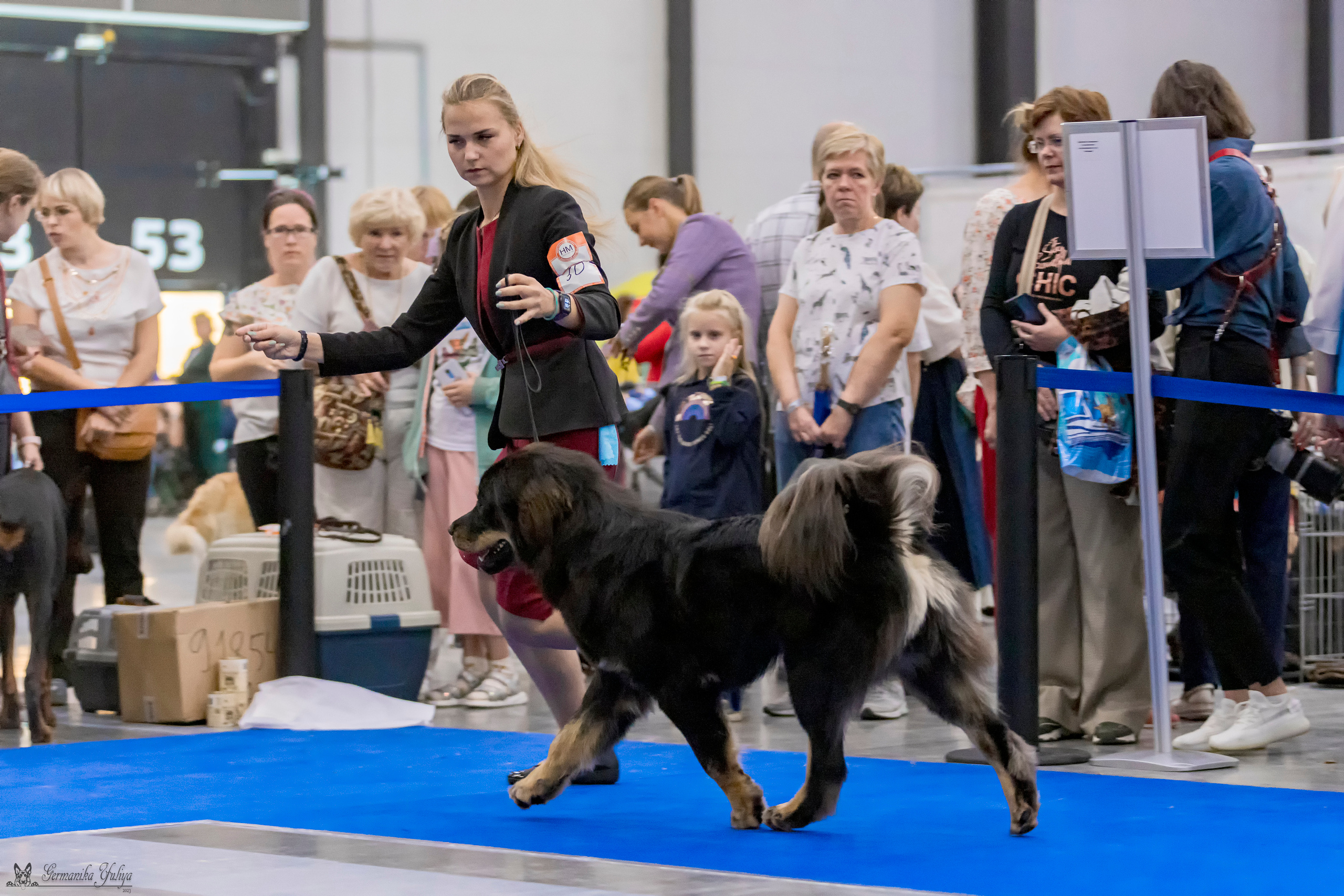 Питер 2-3.09.2023. Фотограф-анималист Юлия Германика